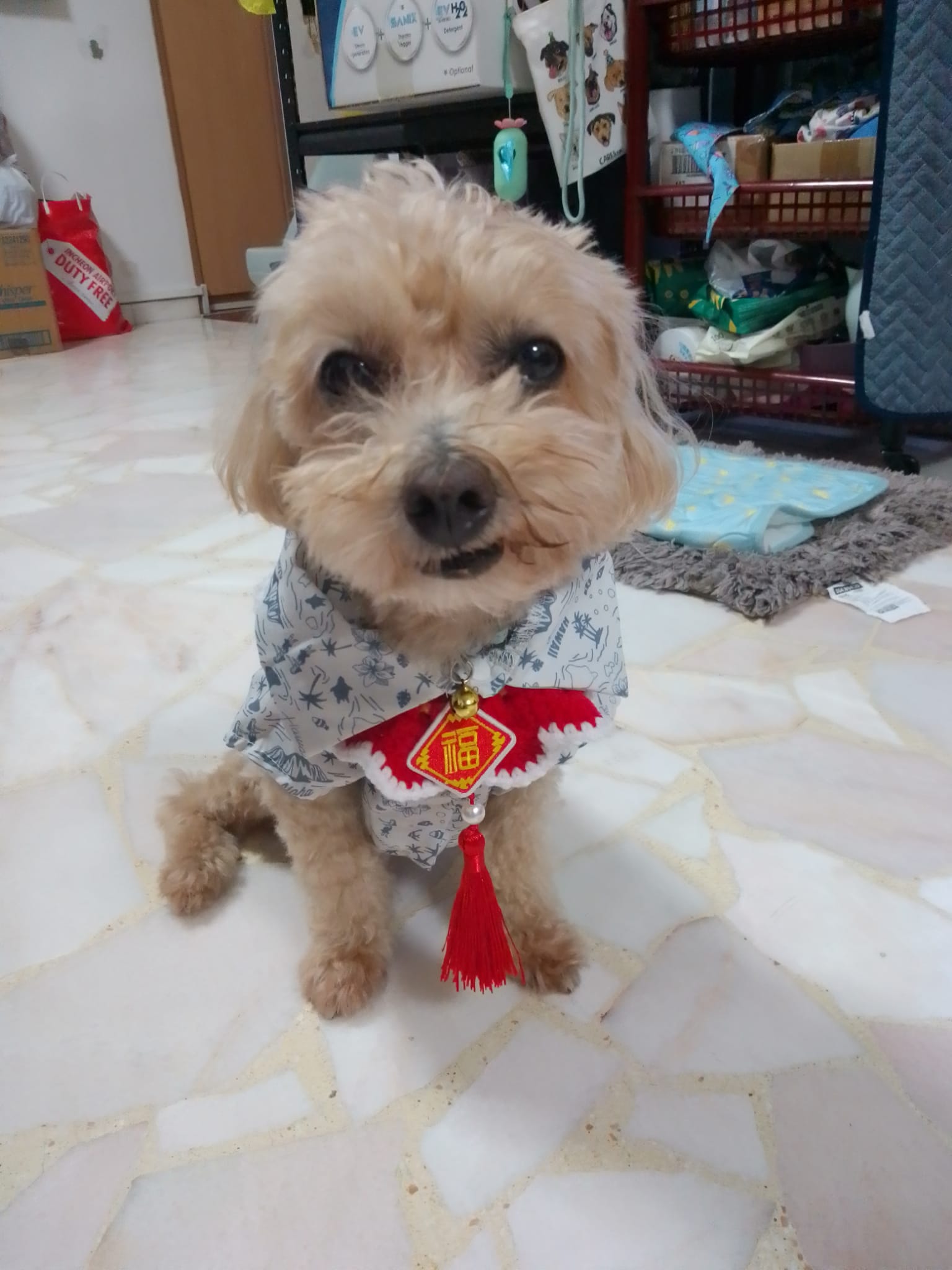 image-6