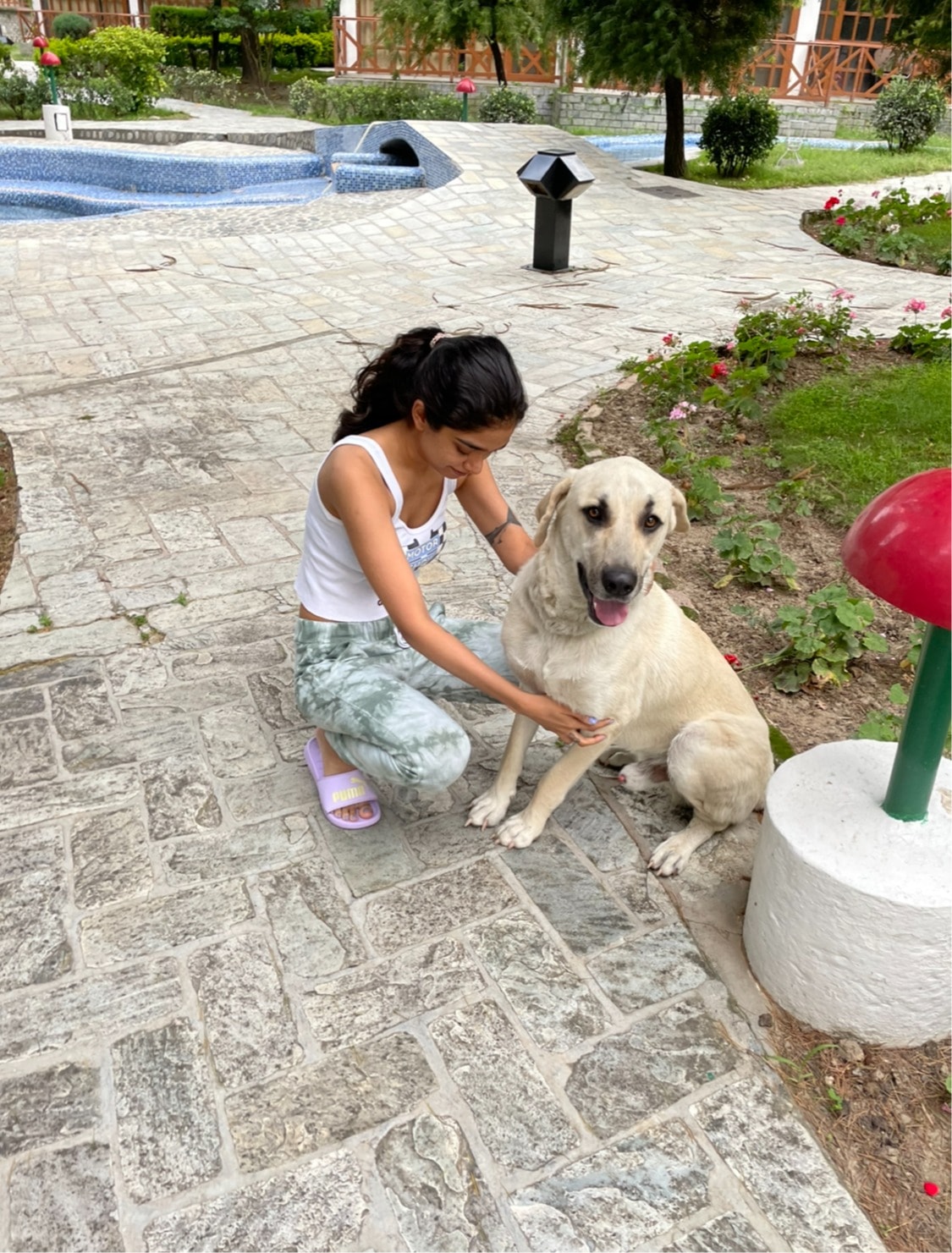 image-7
