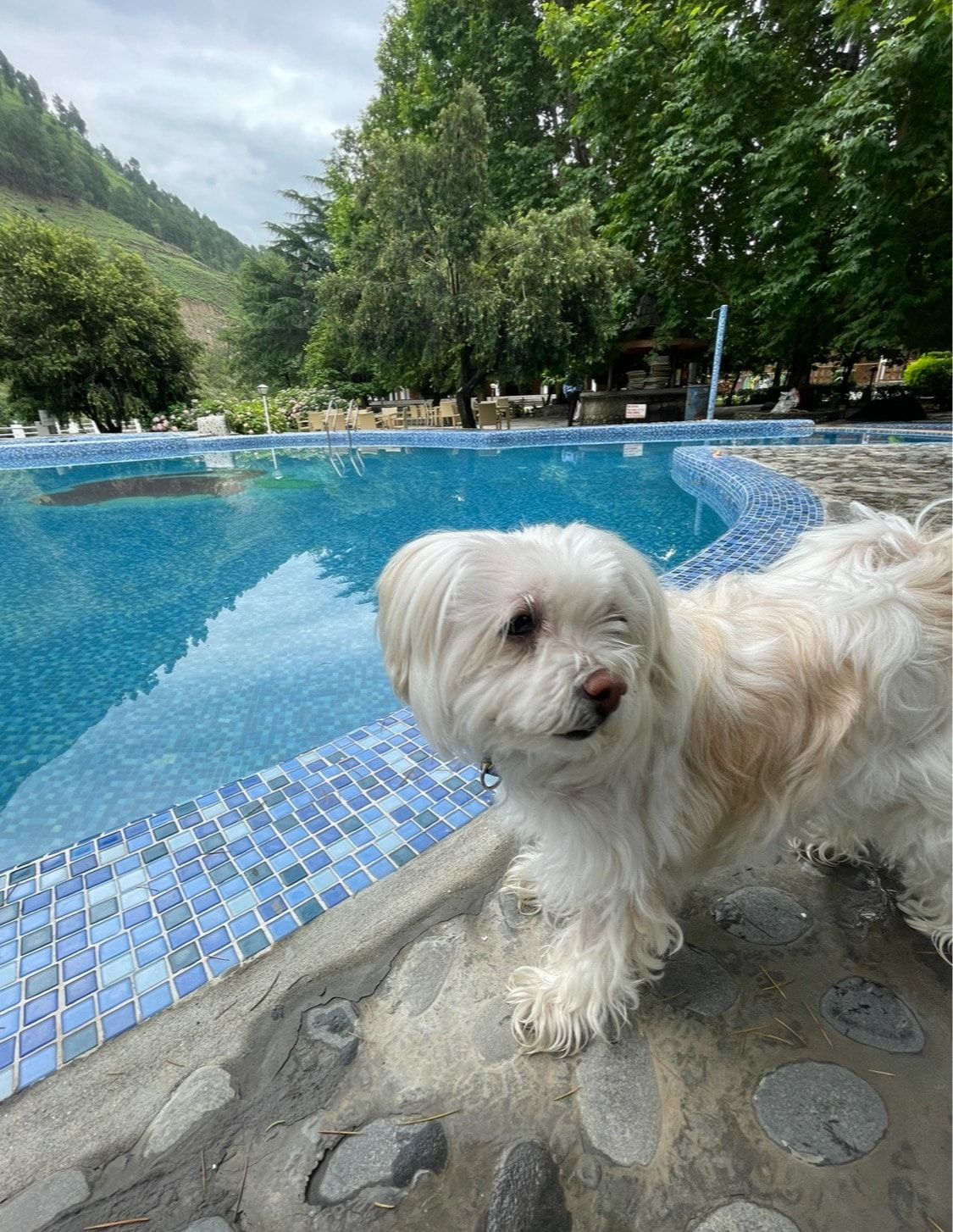 image-33