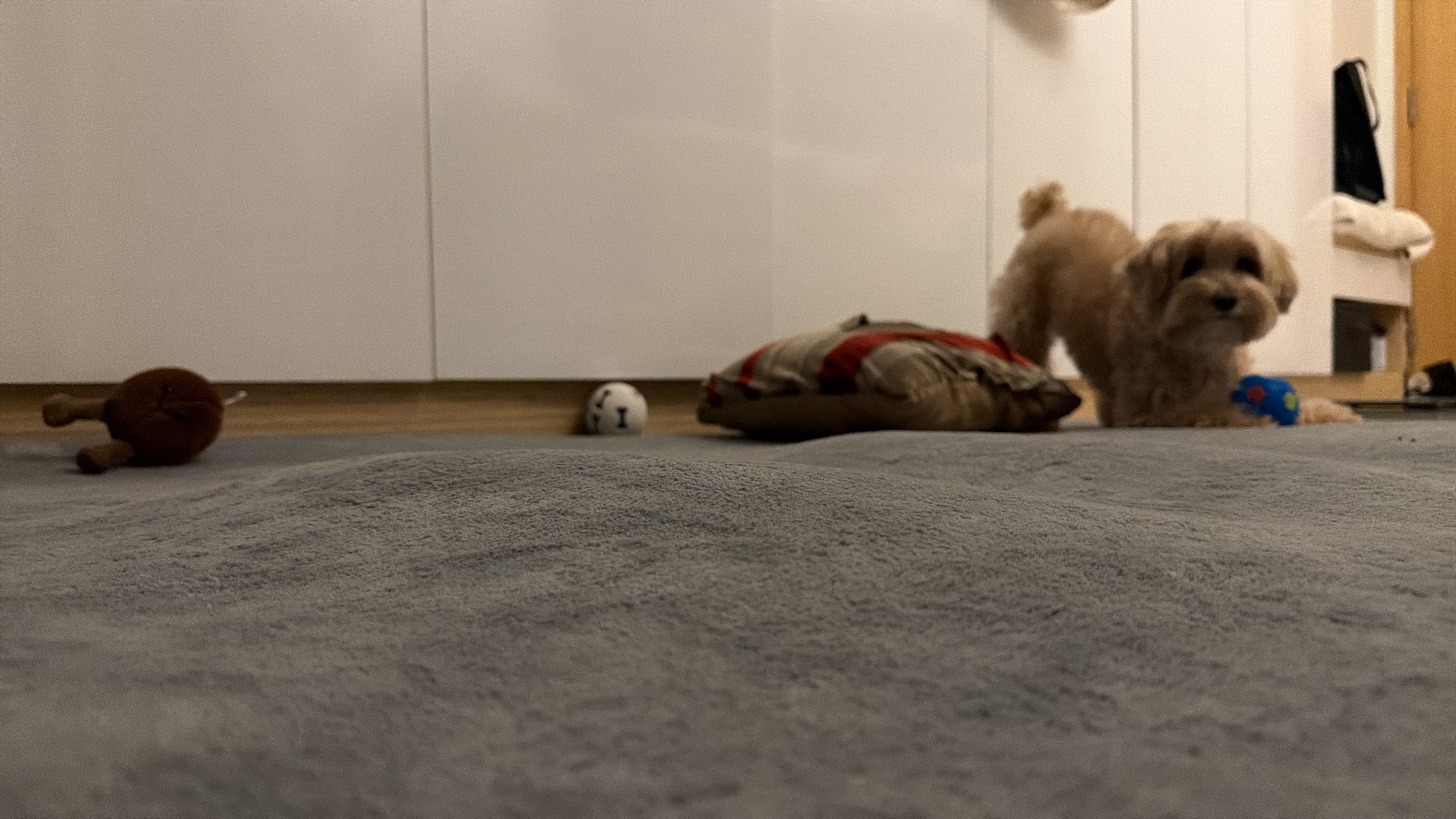 image-11