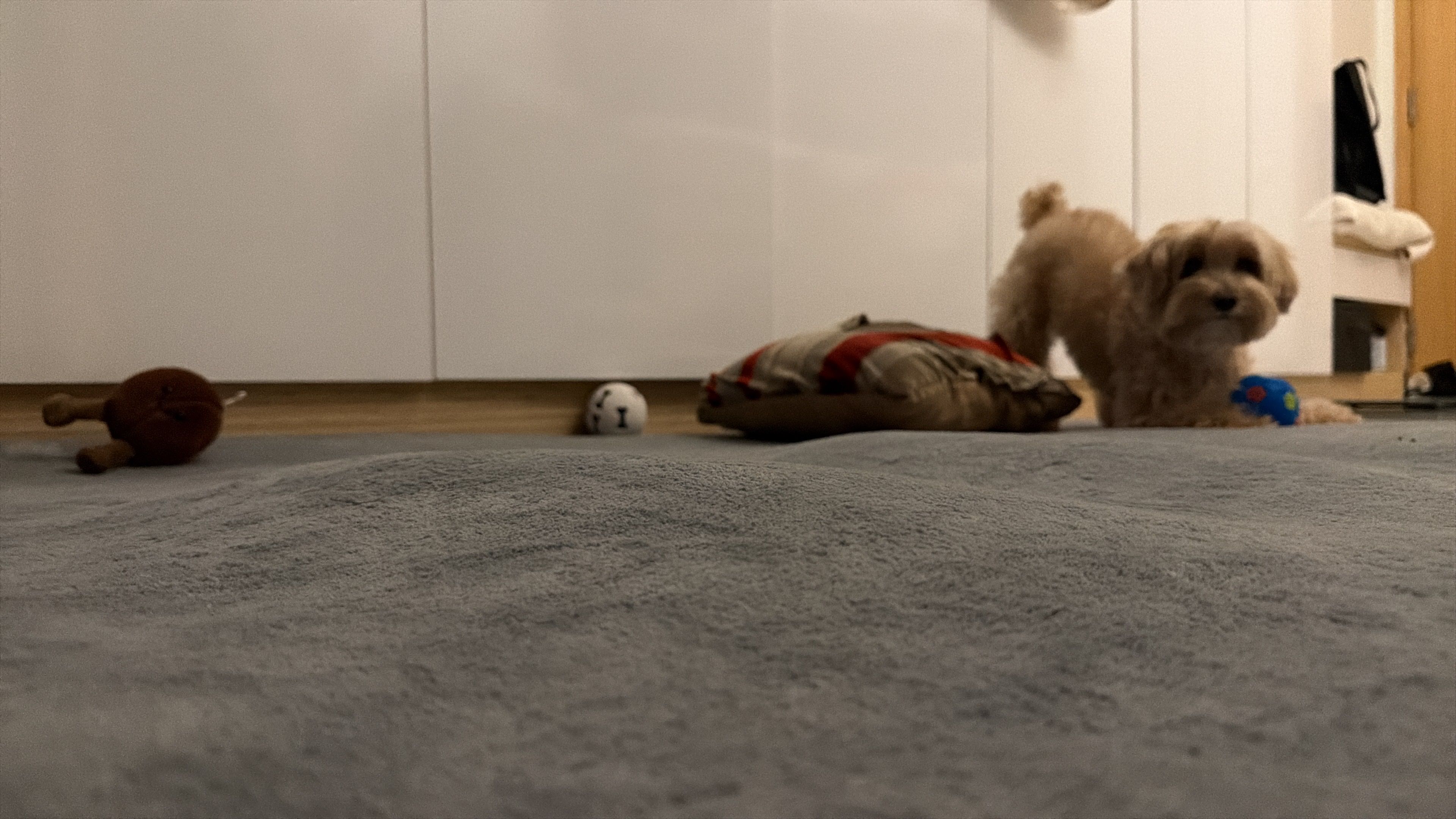 image-11