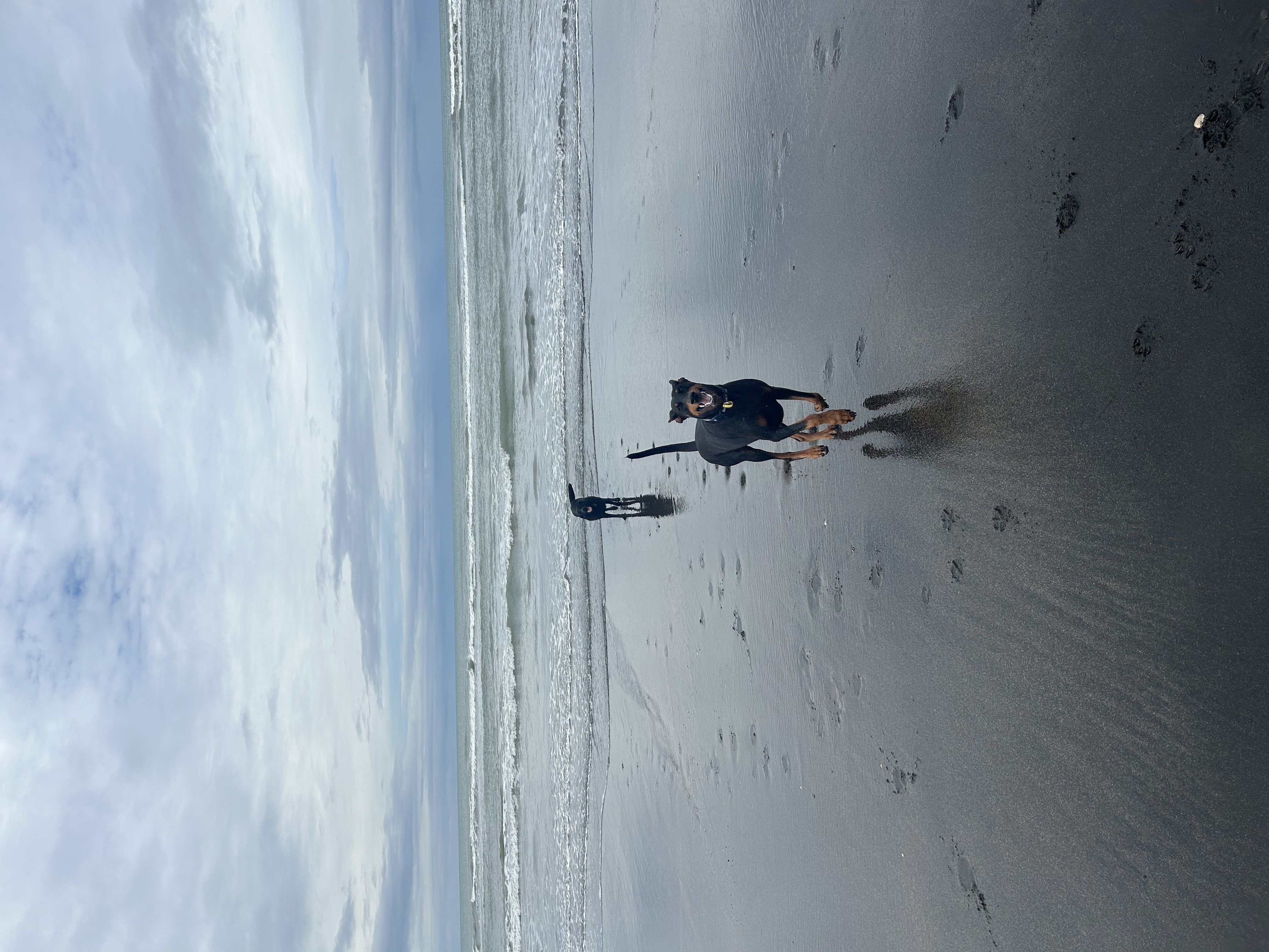 image-10