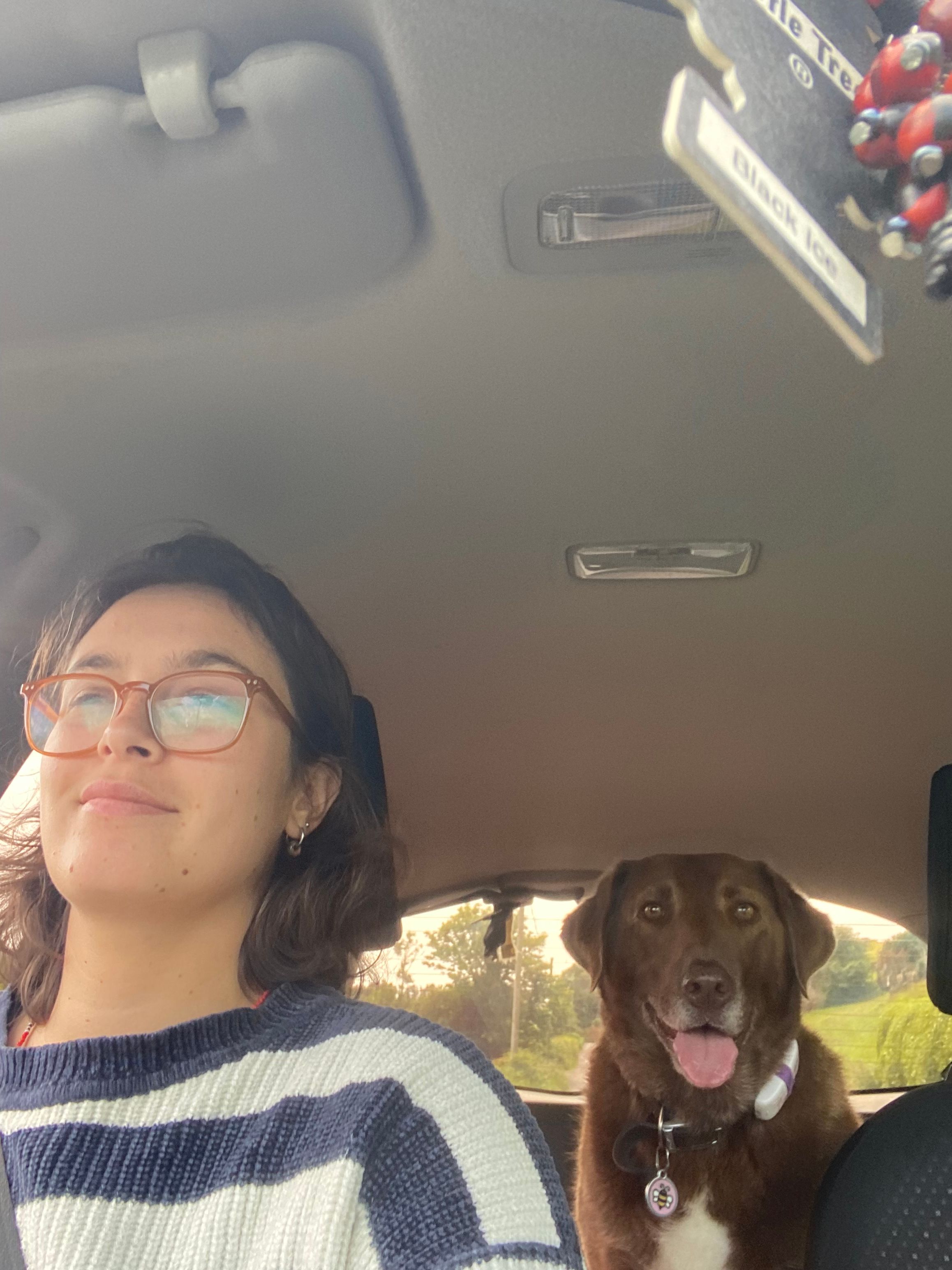 image-6