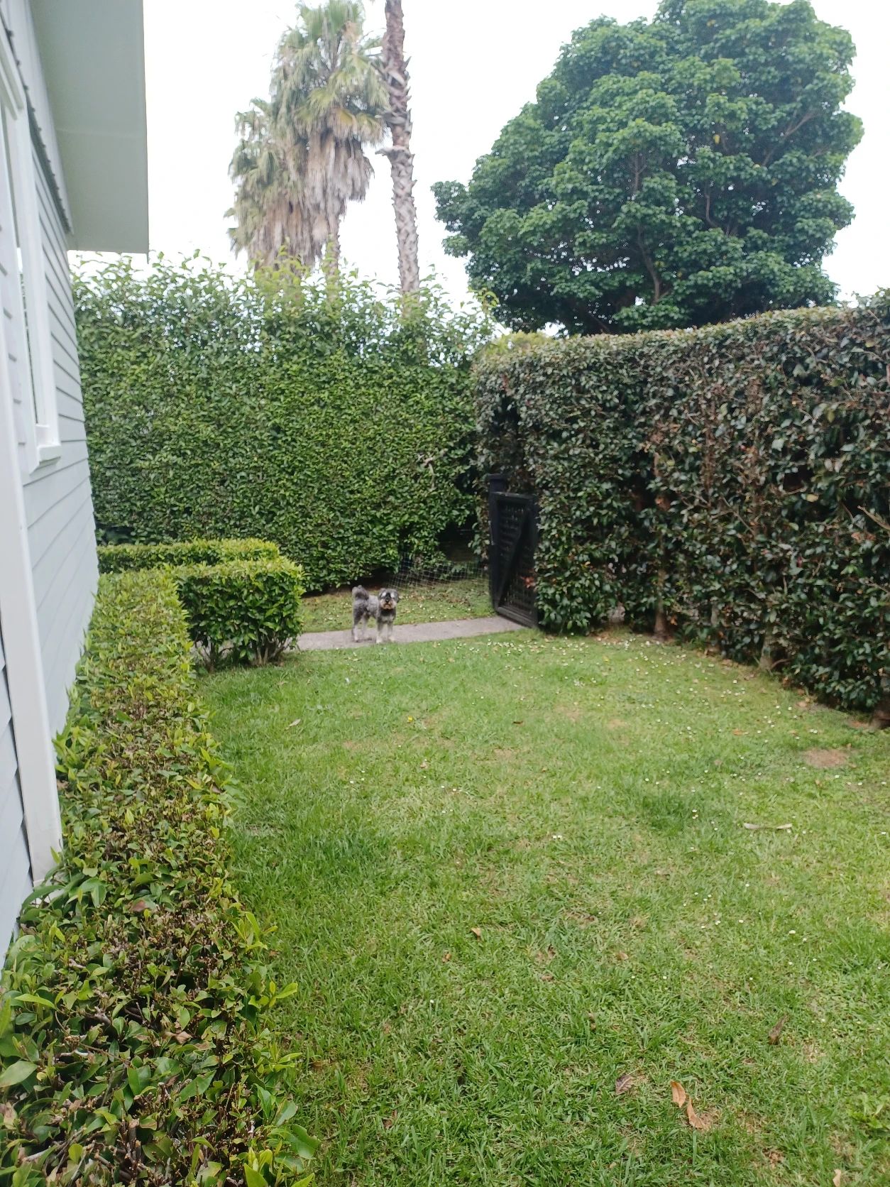 image-11