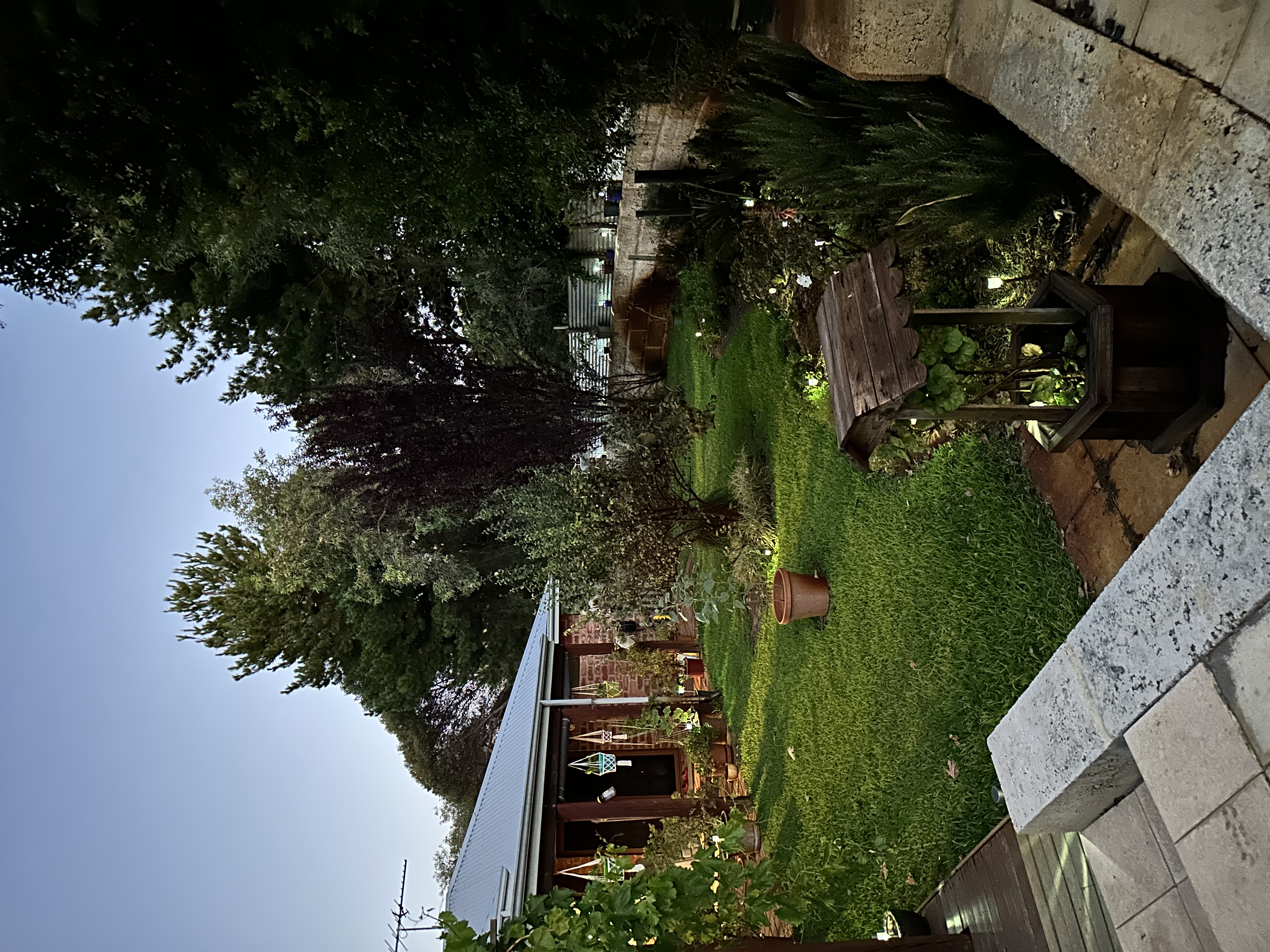 image-17