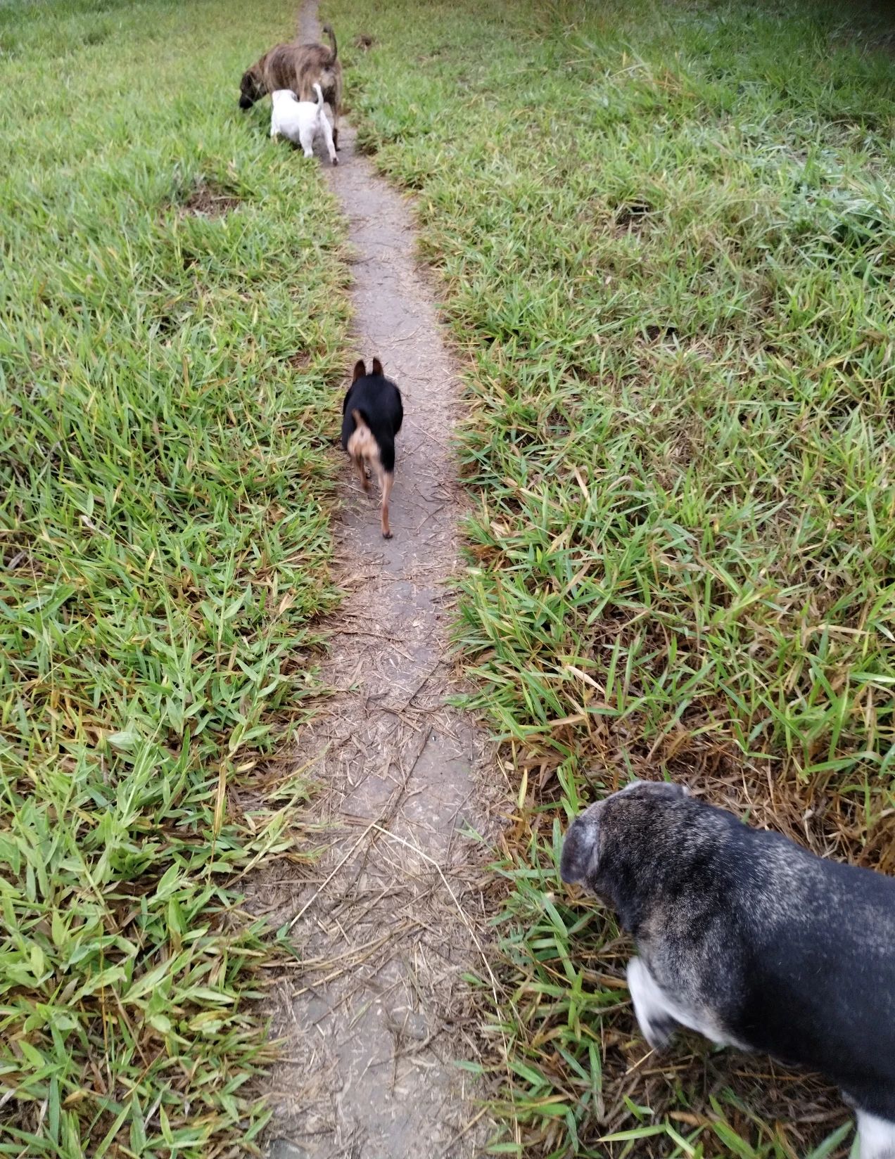 image-12