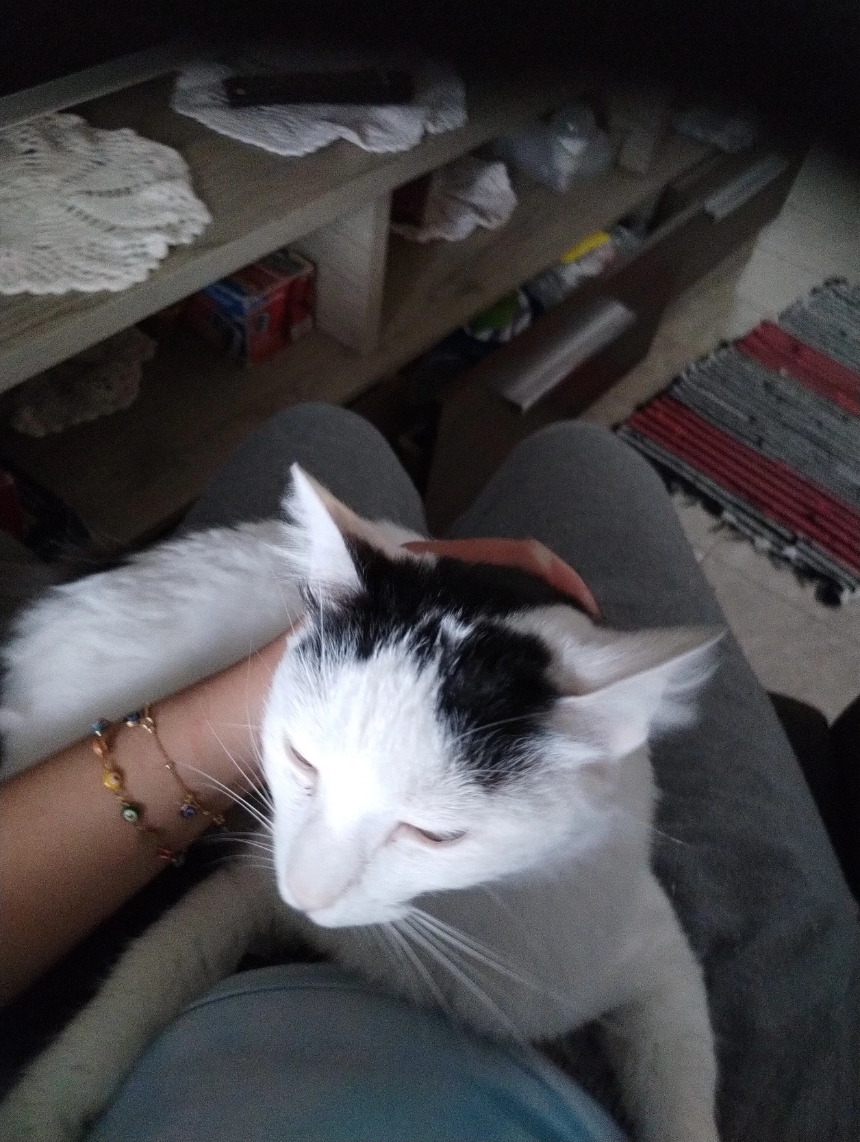 image-6