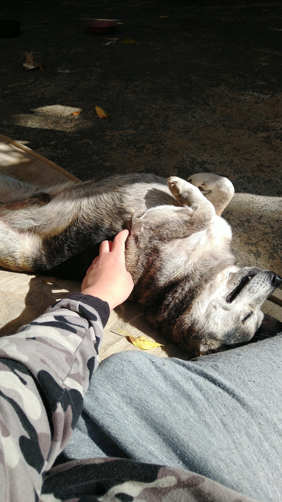 image-7