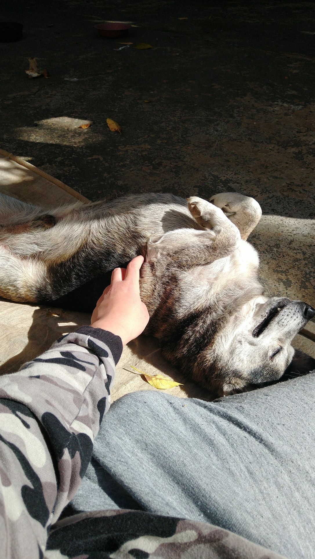 image-7