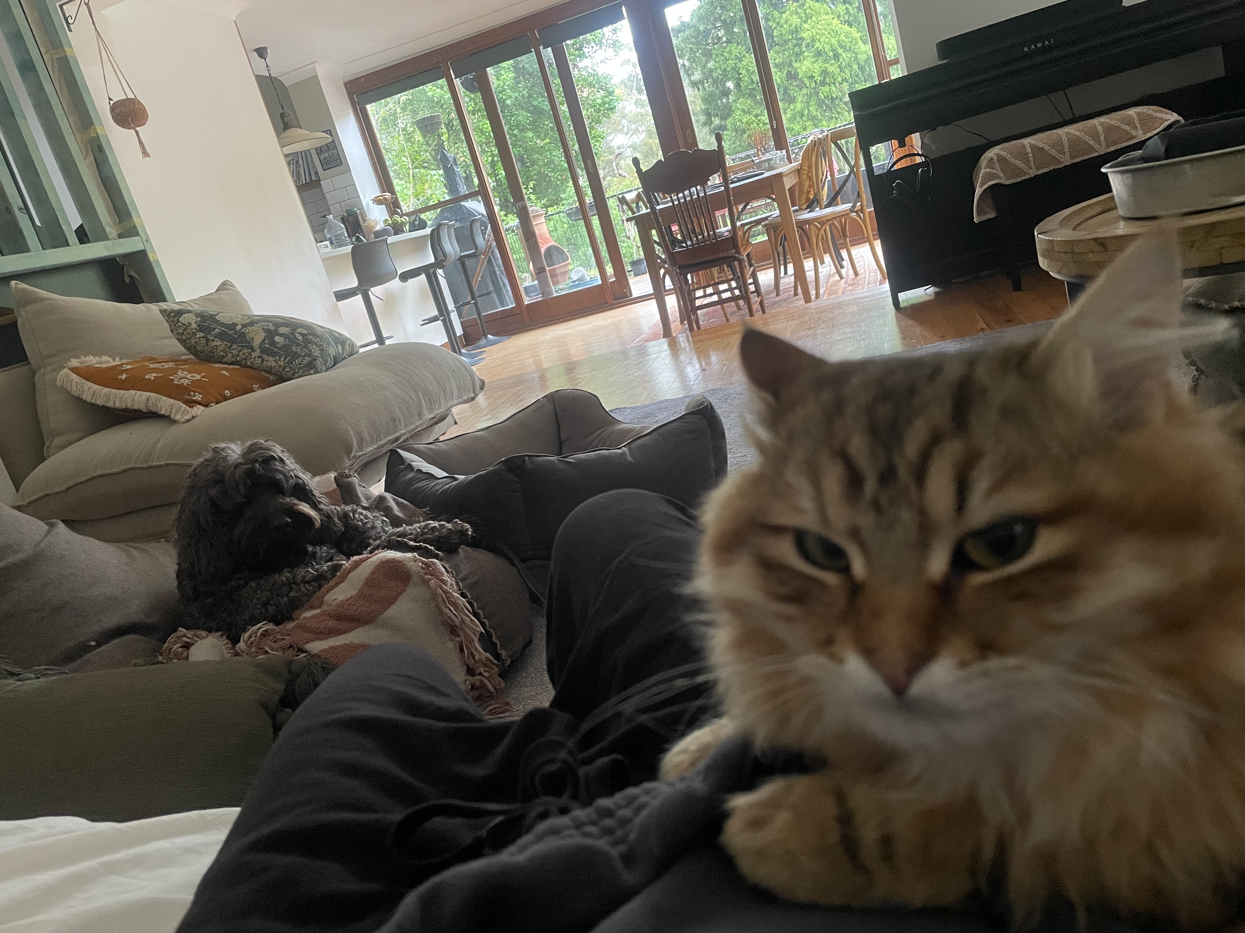 image-10