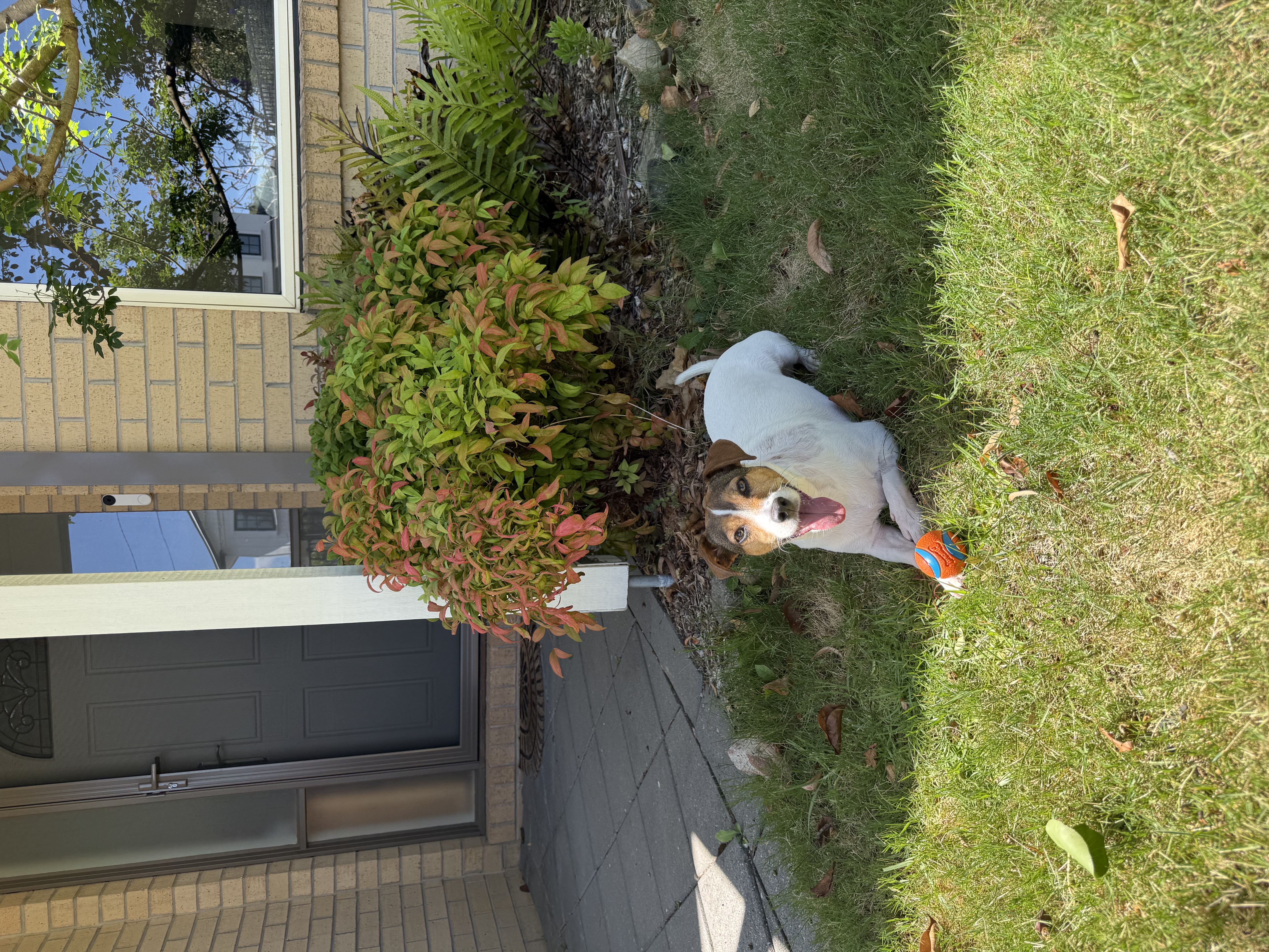 image-10