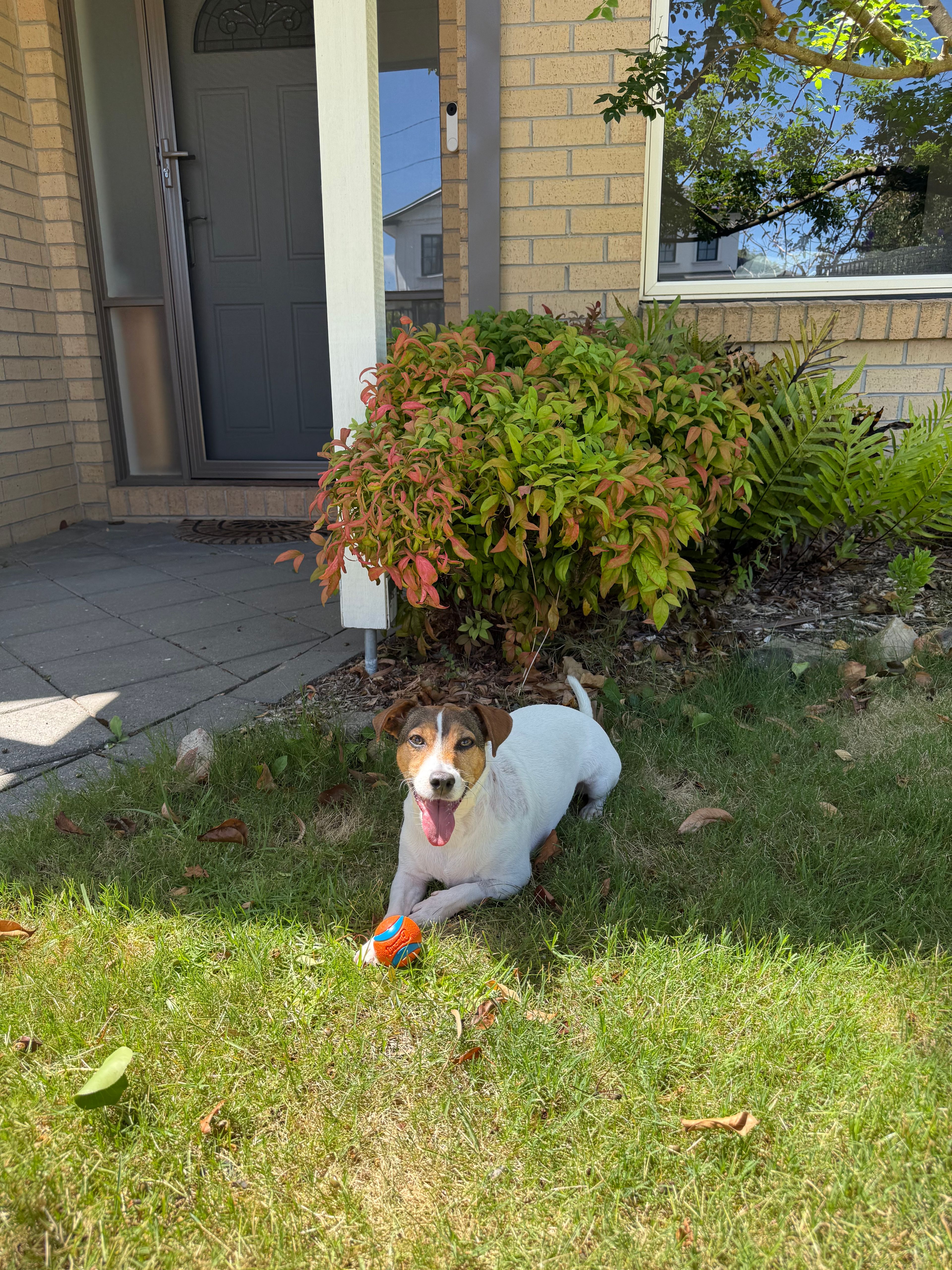 image-10