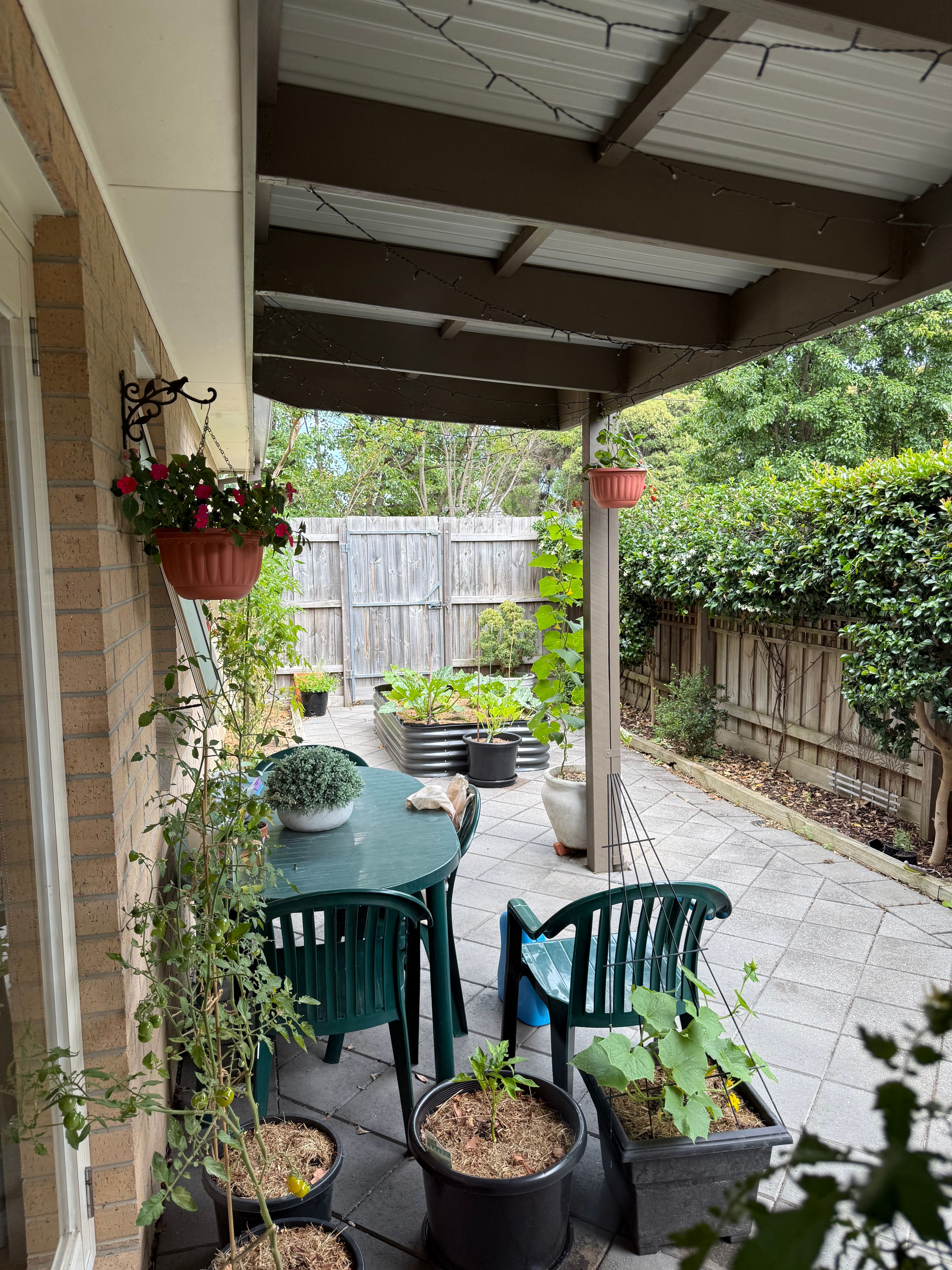 image-19