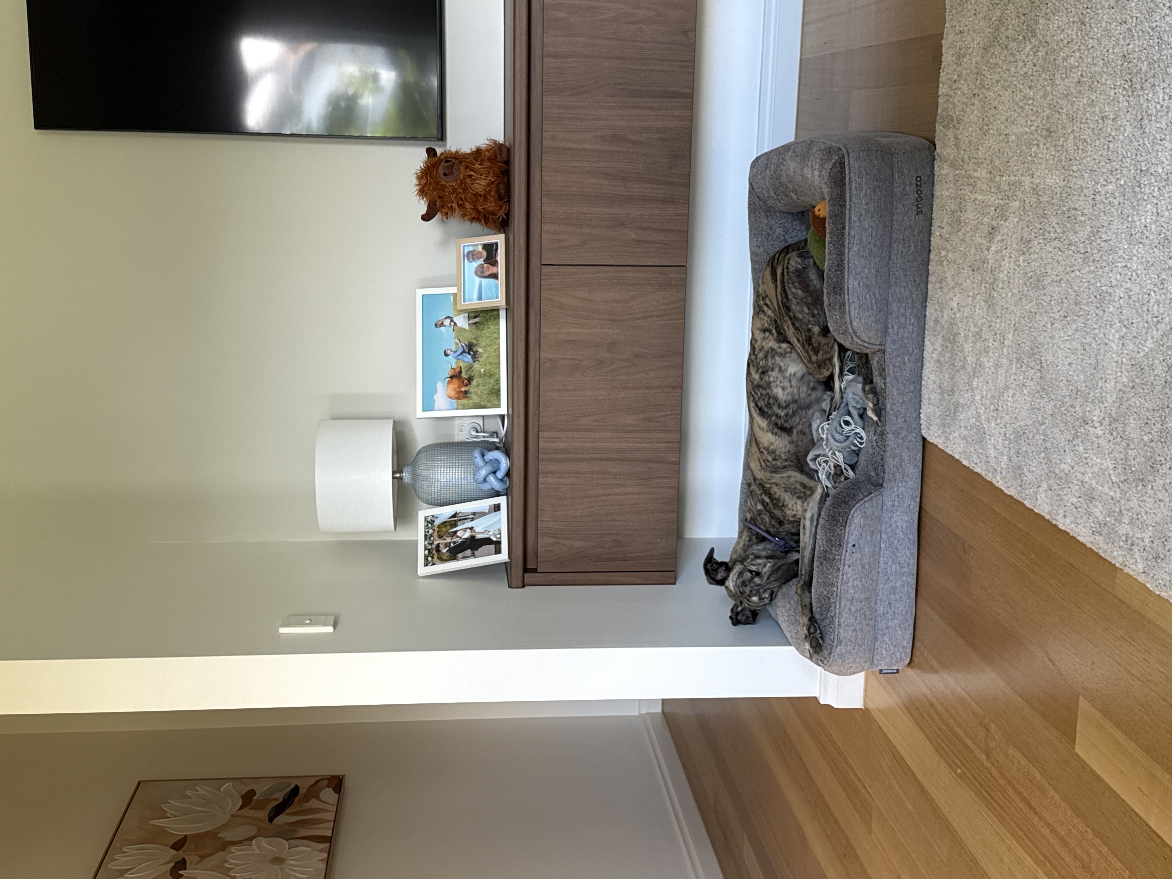 image-13