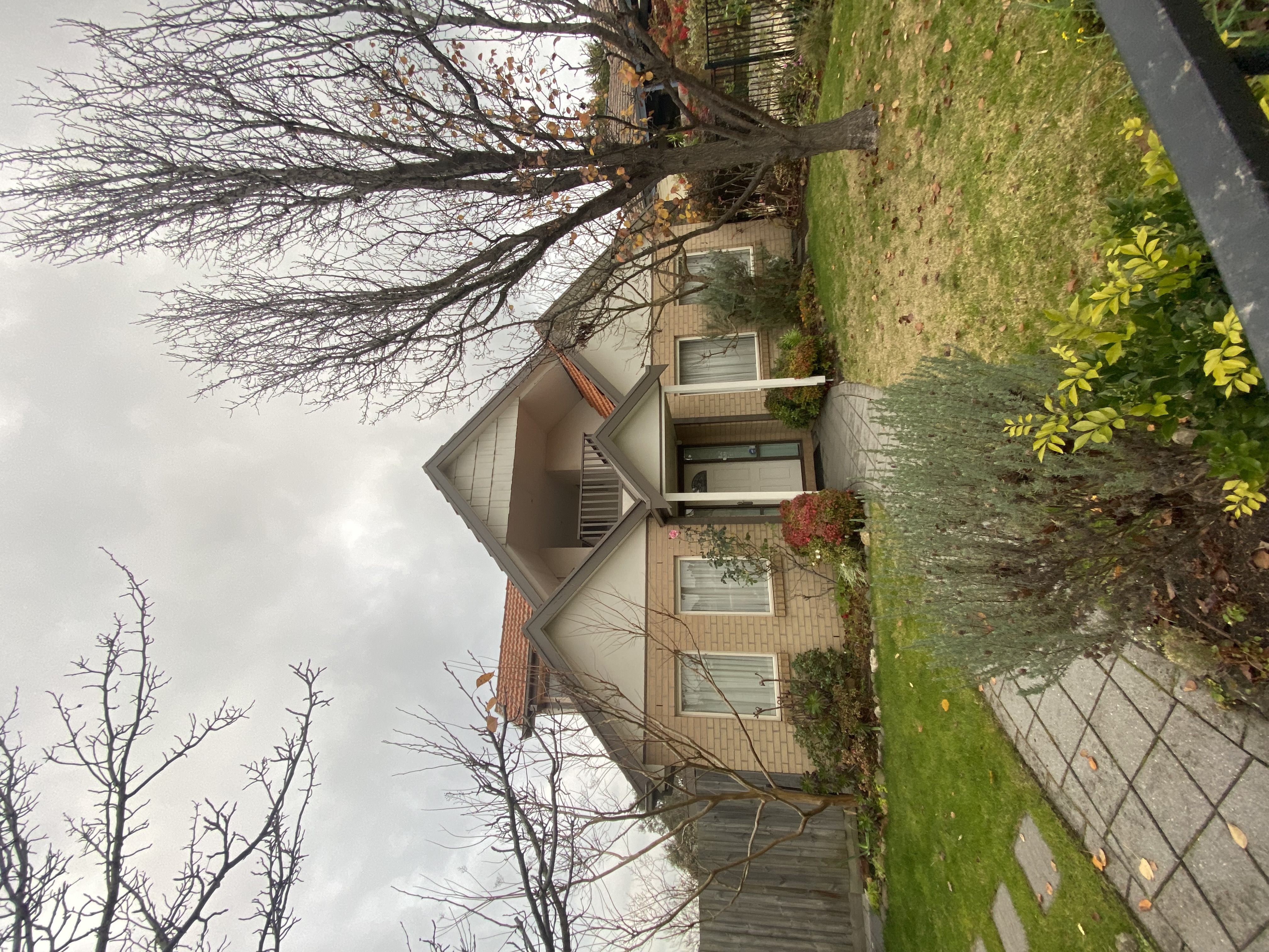 image-20