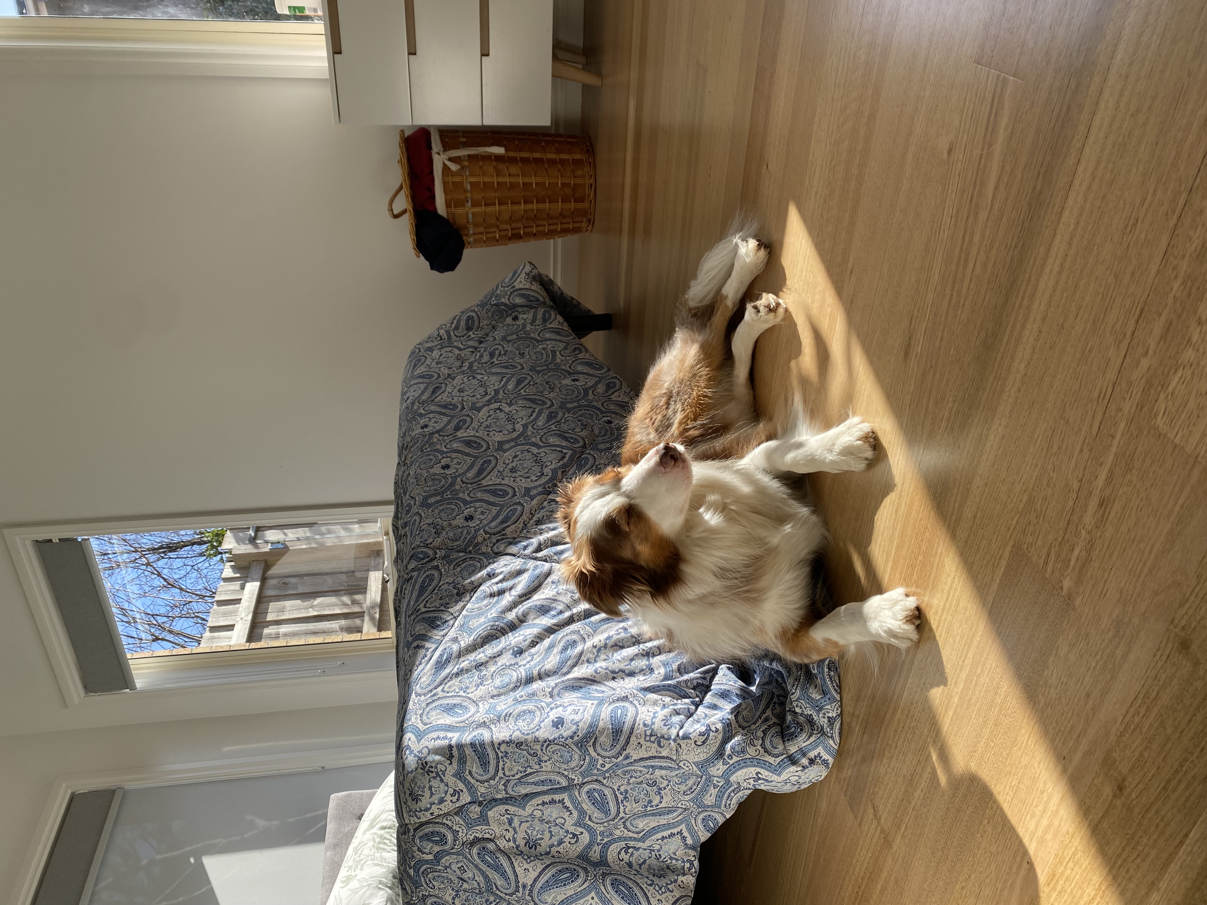 image-3