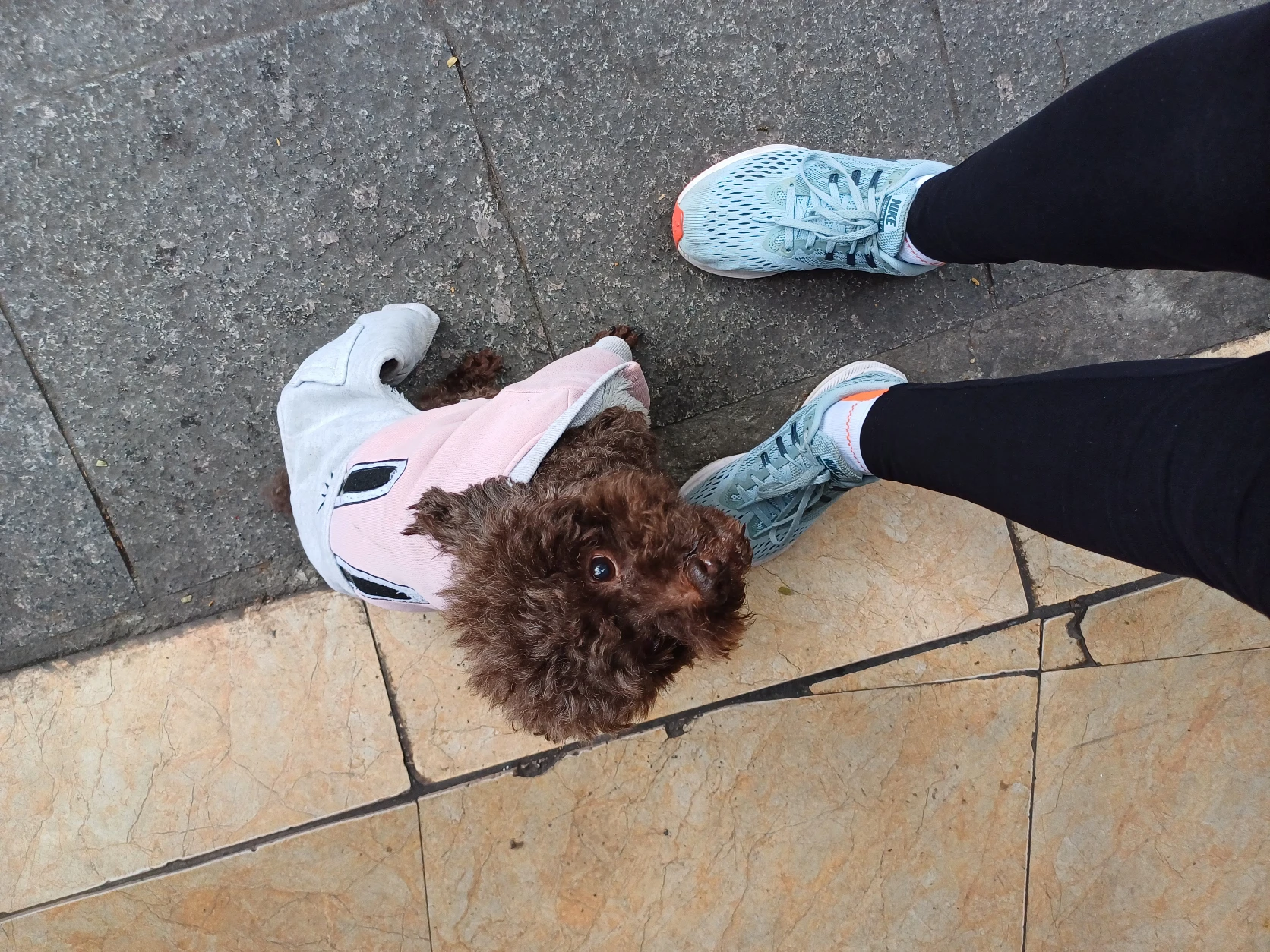 image-7