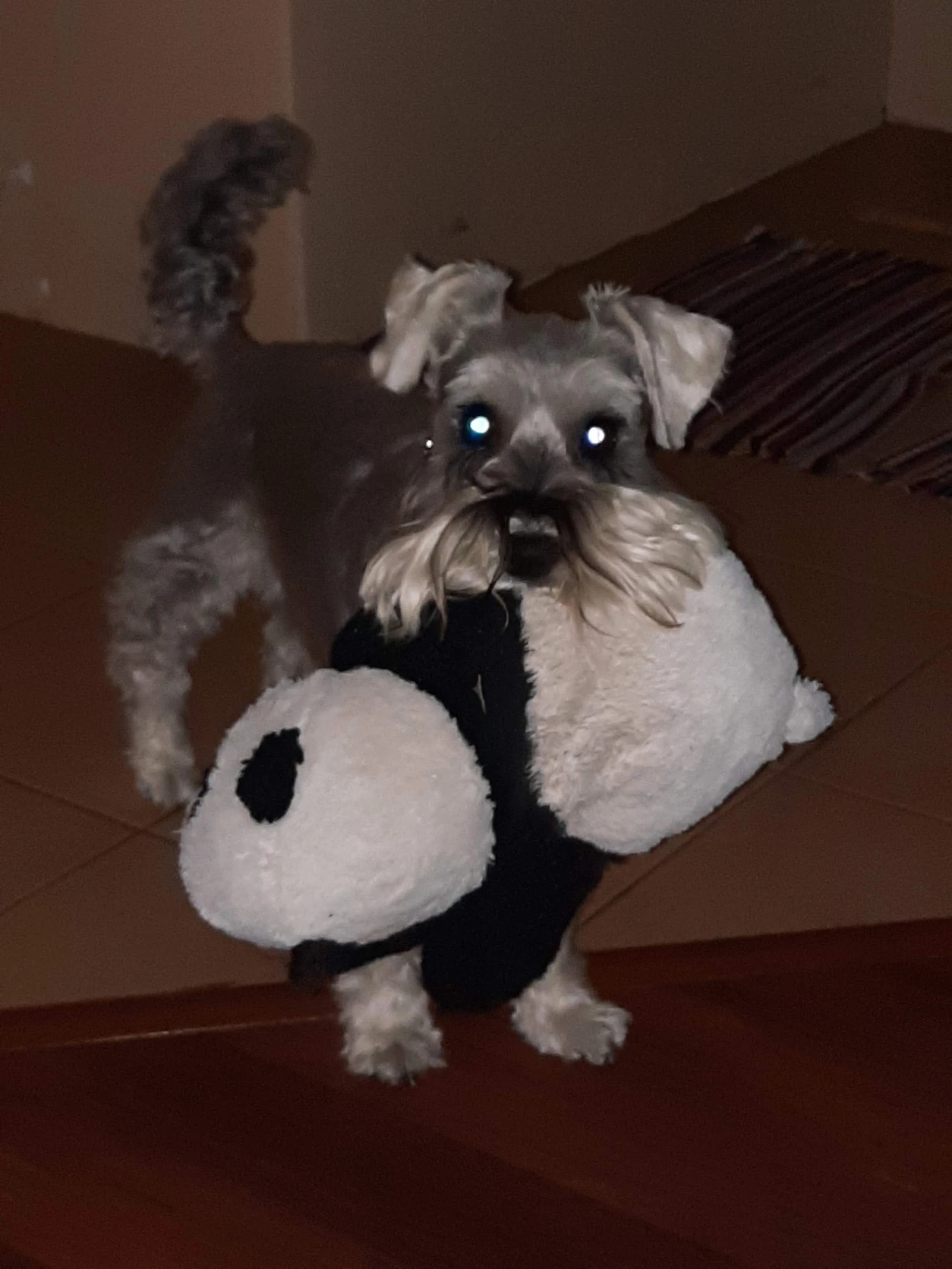 image-12