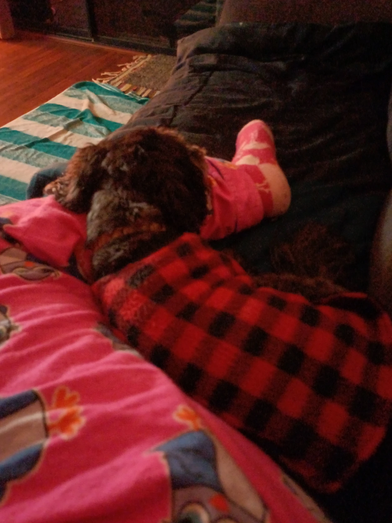 image-9