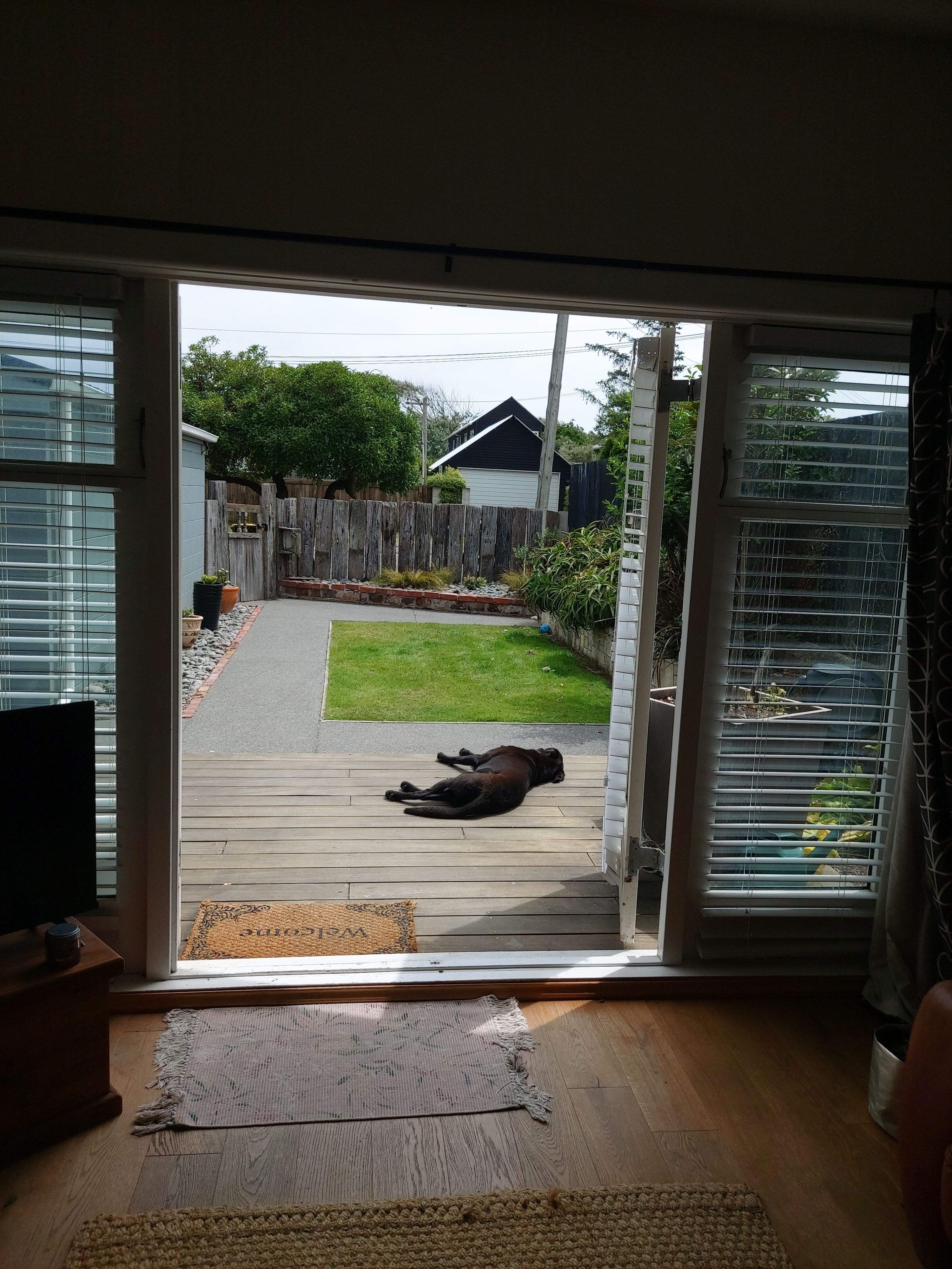 image-7