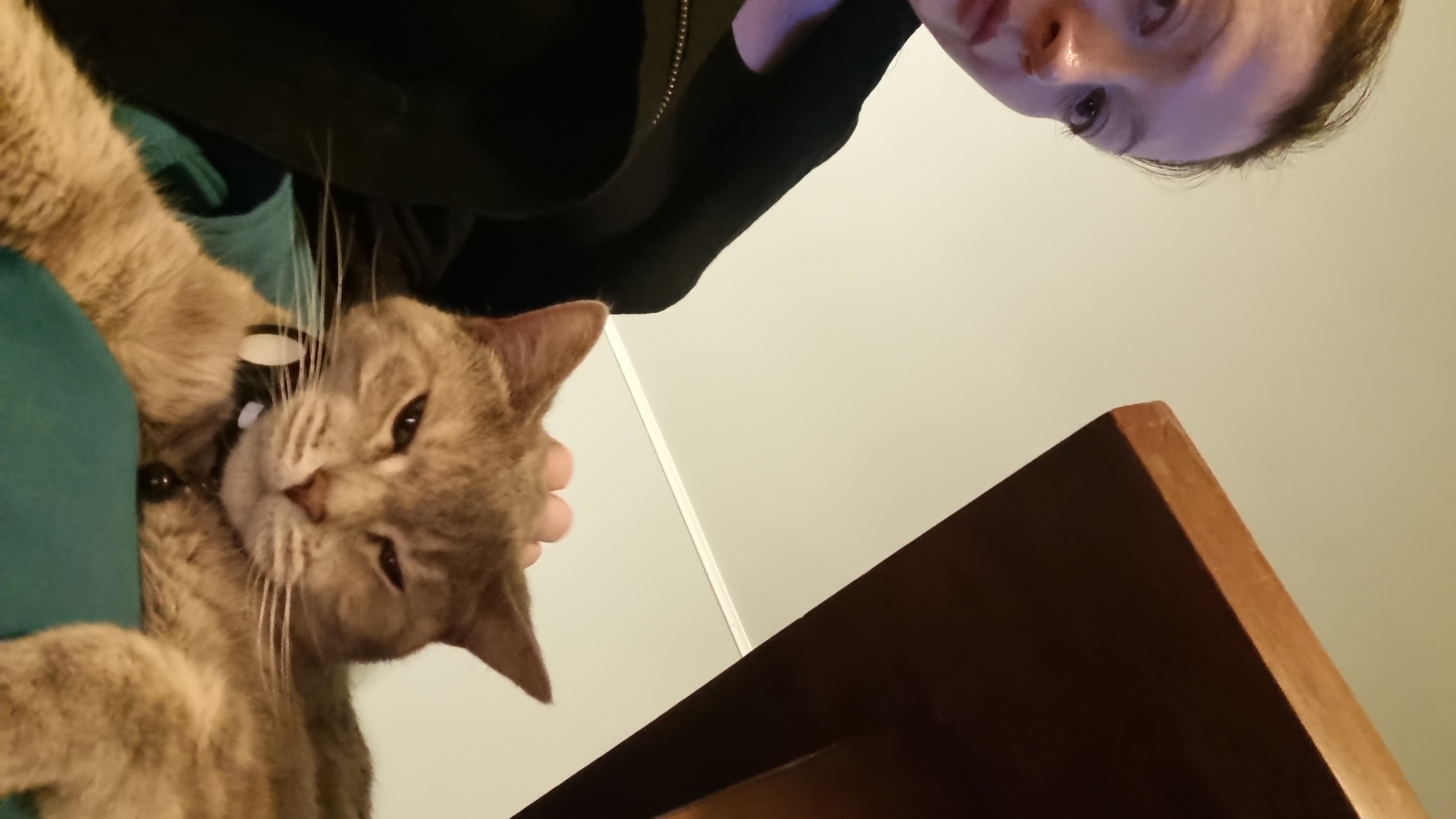 image-6