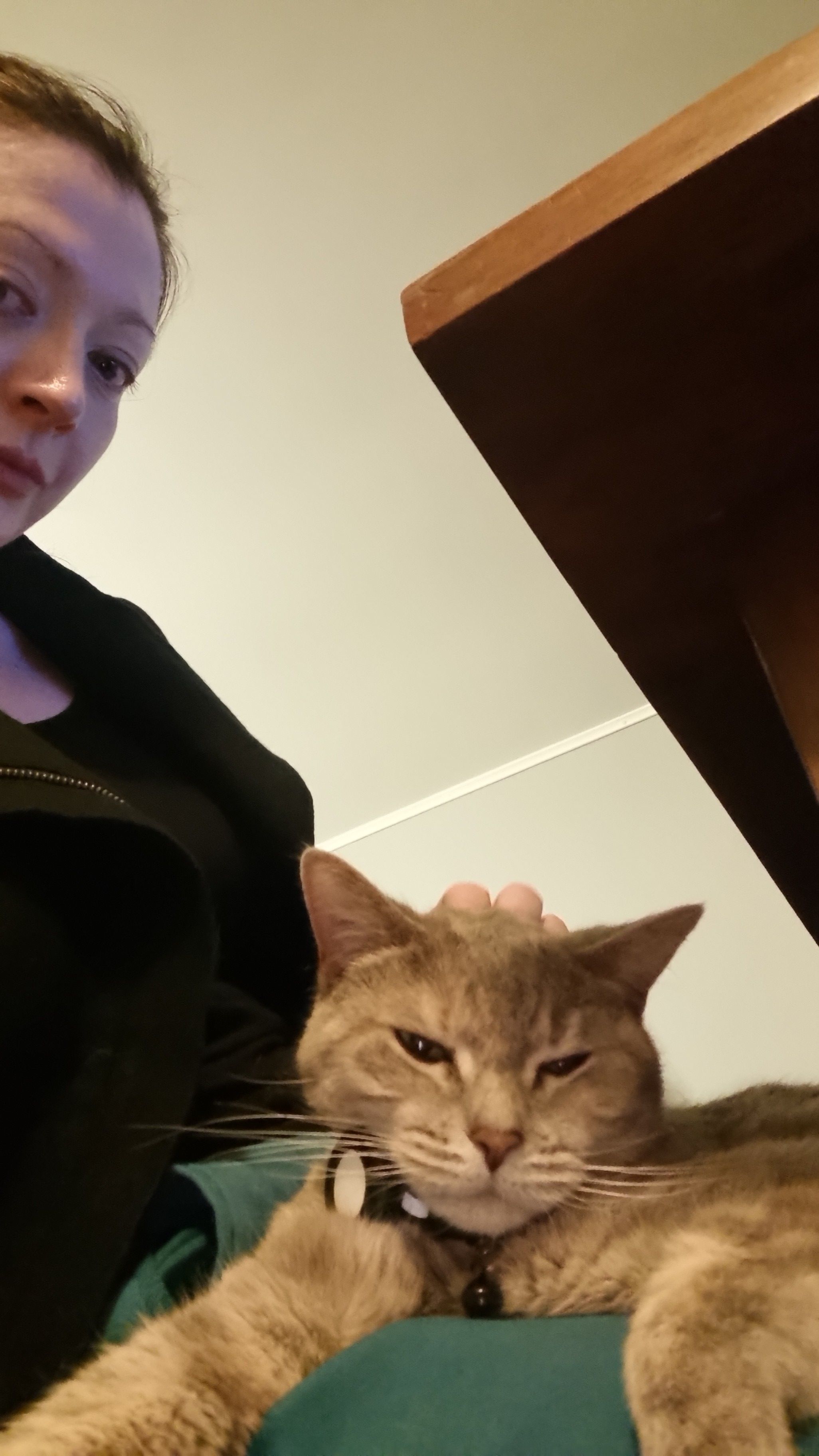 image-6