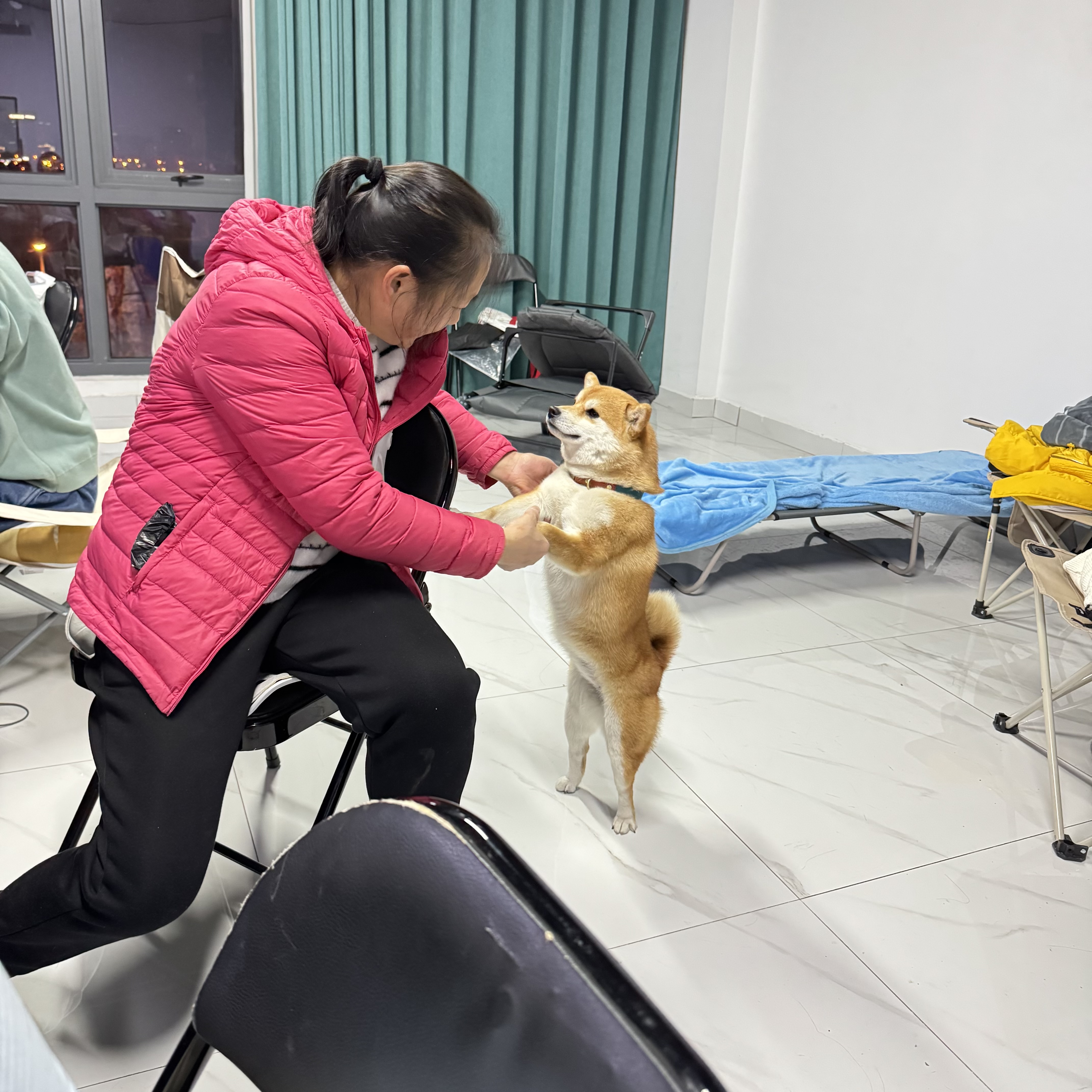 image-7