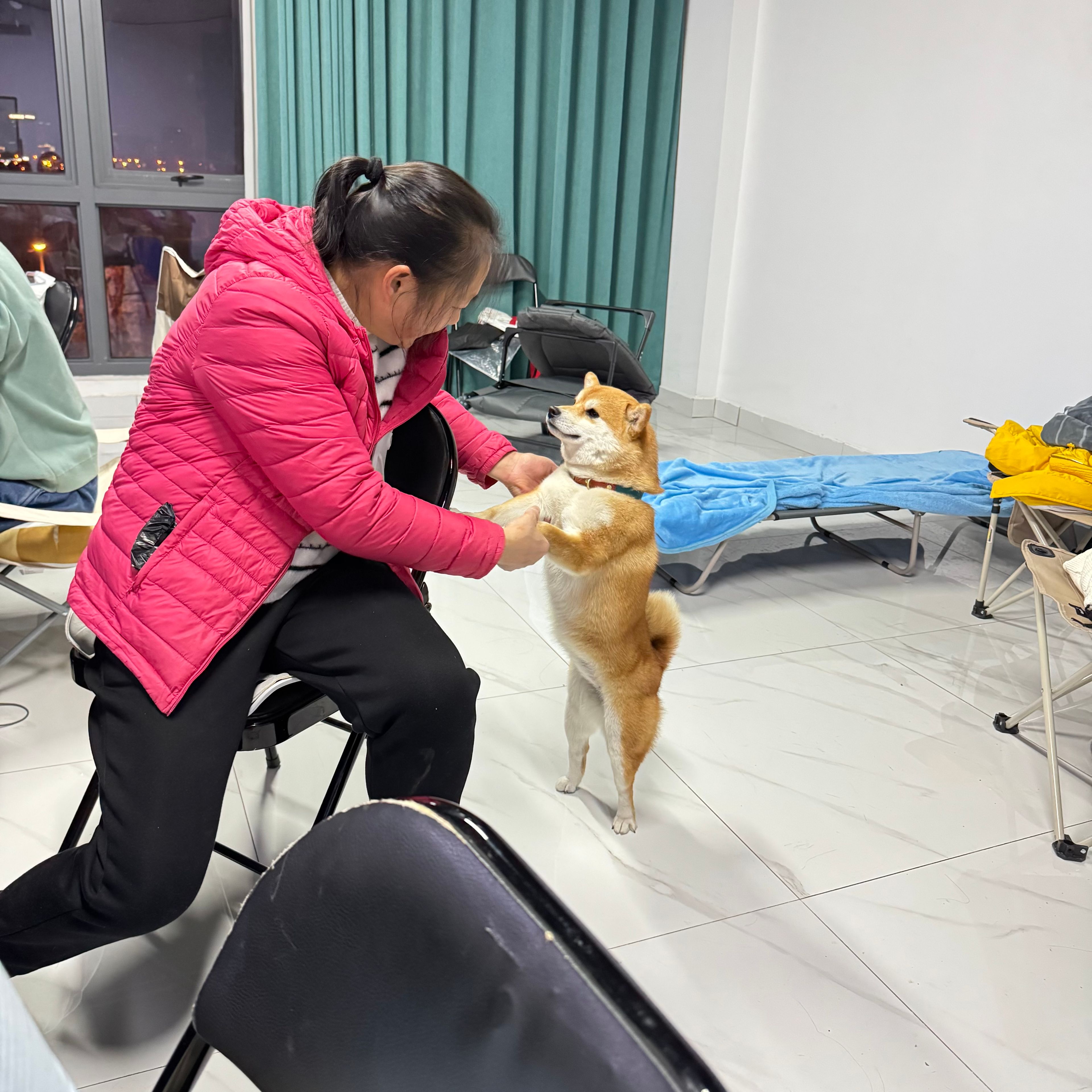 image-7