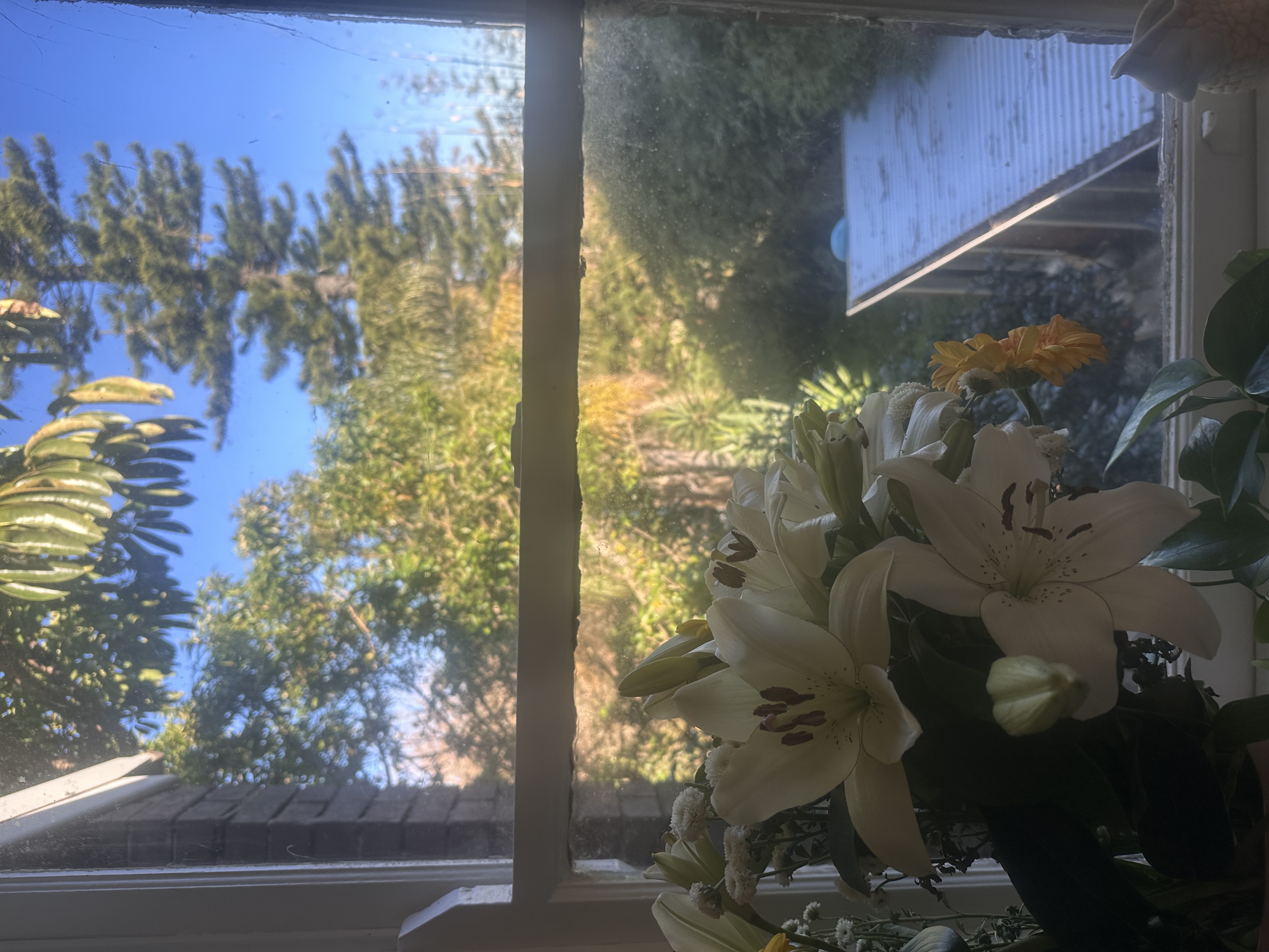 image-14