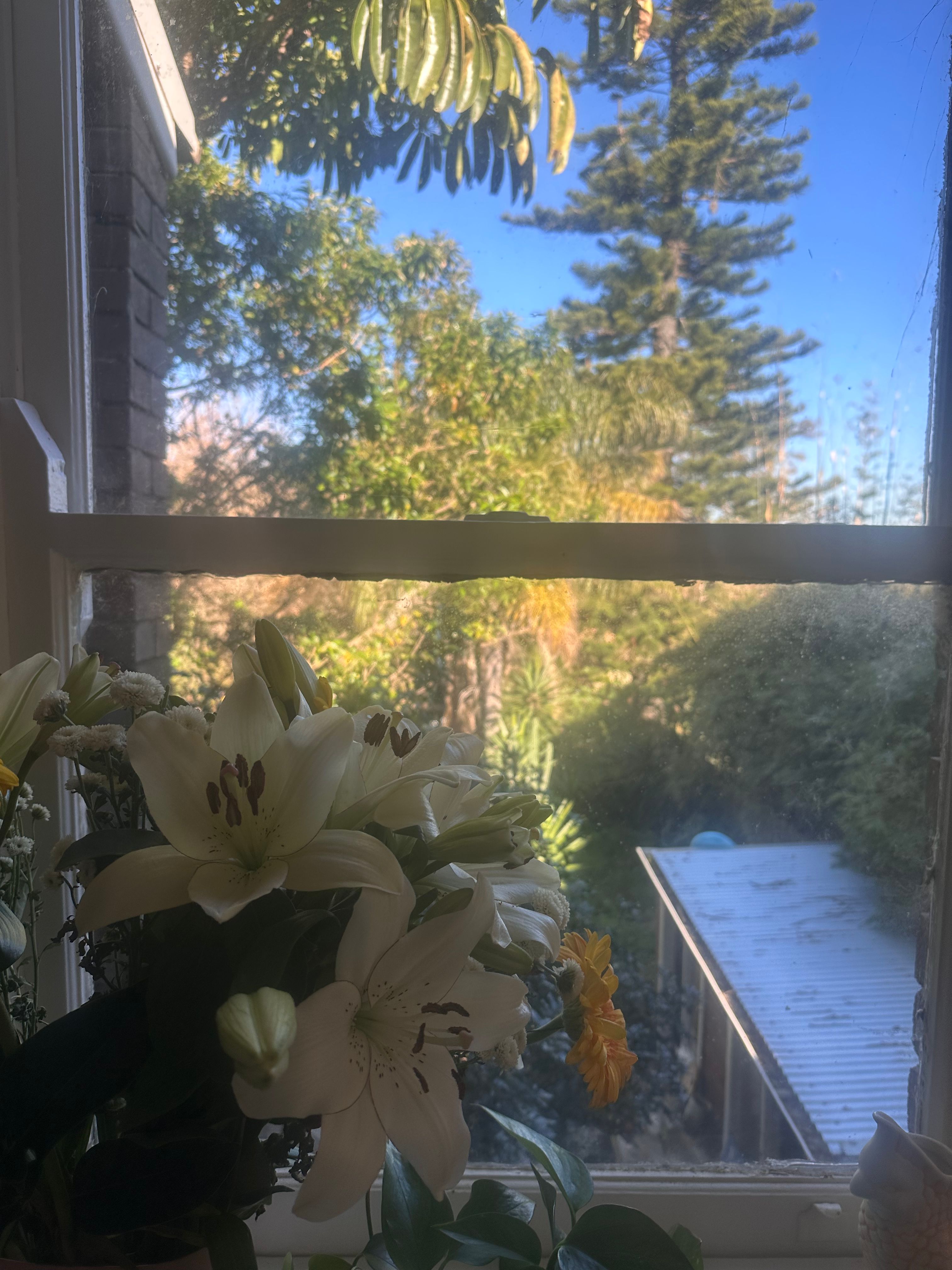 image-14