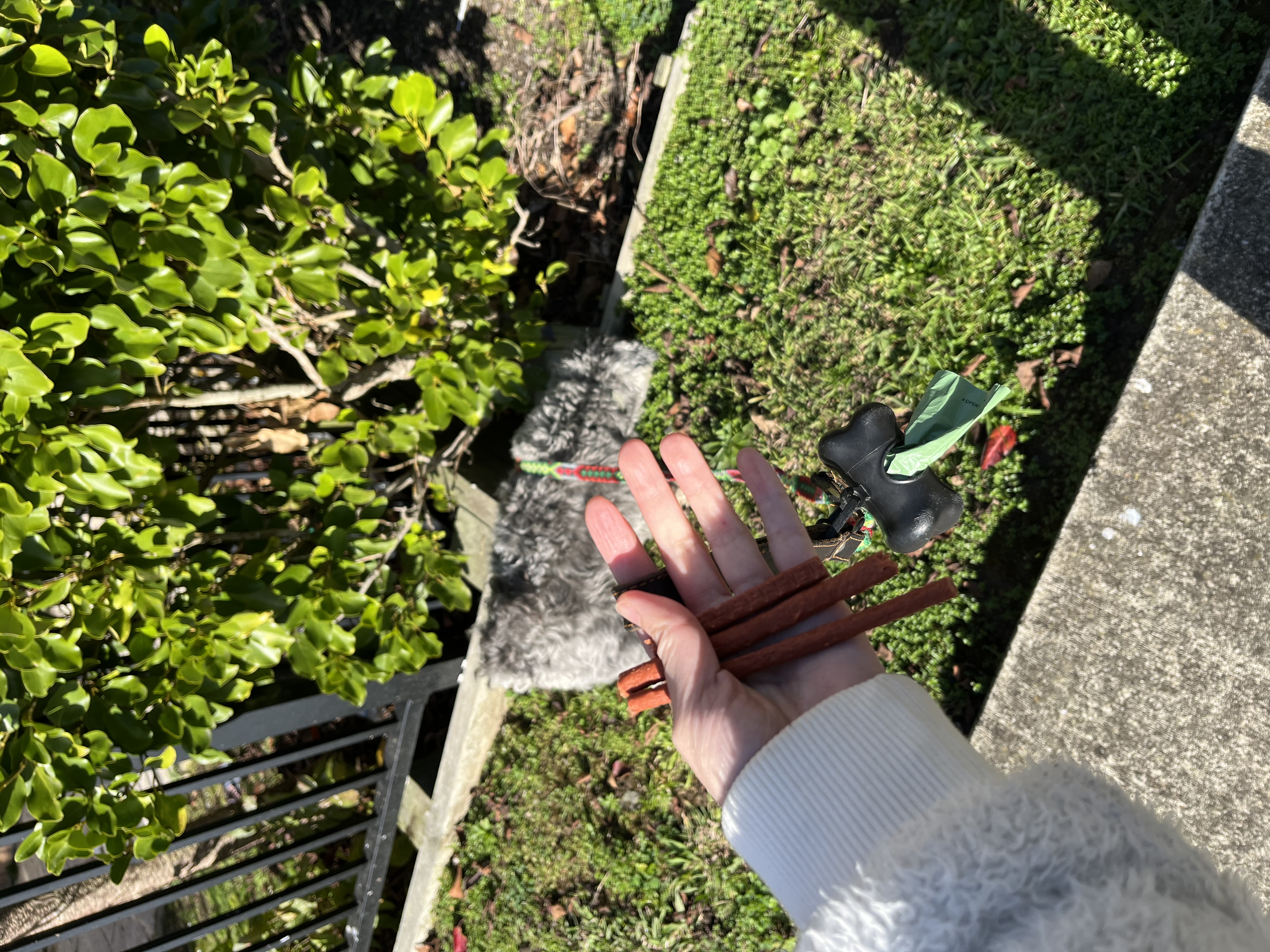 image-2