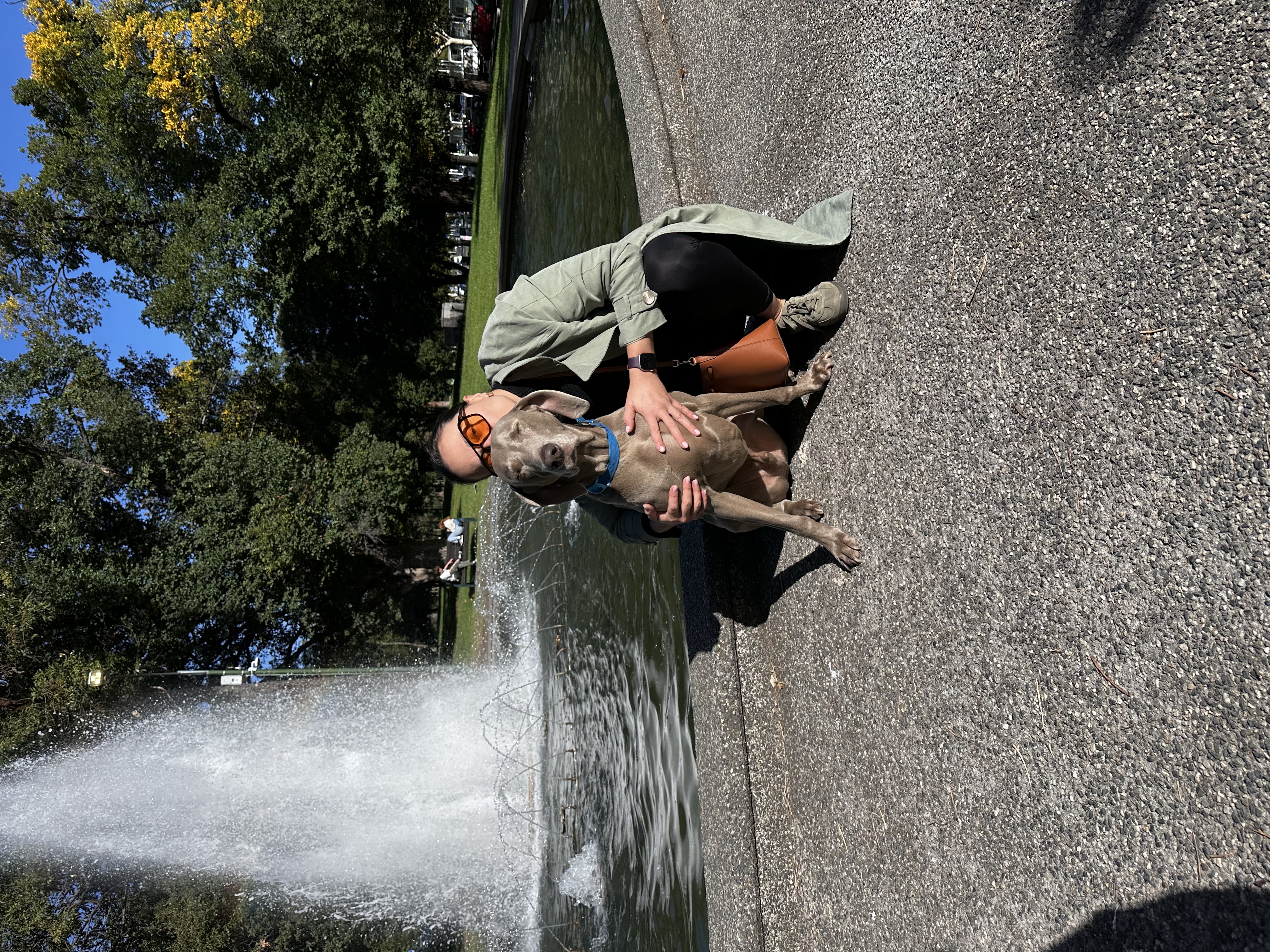 image-17