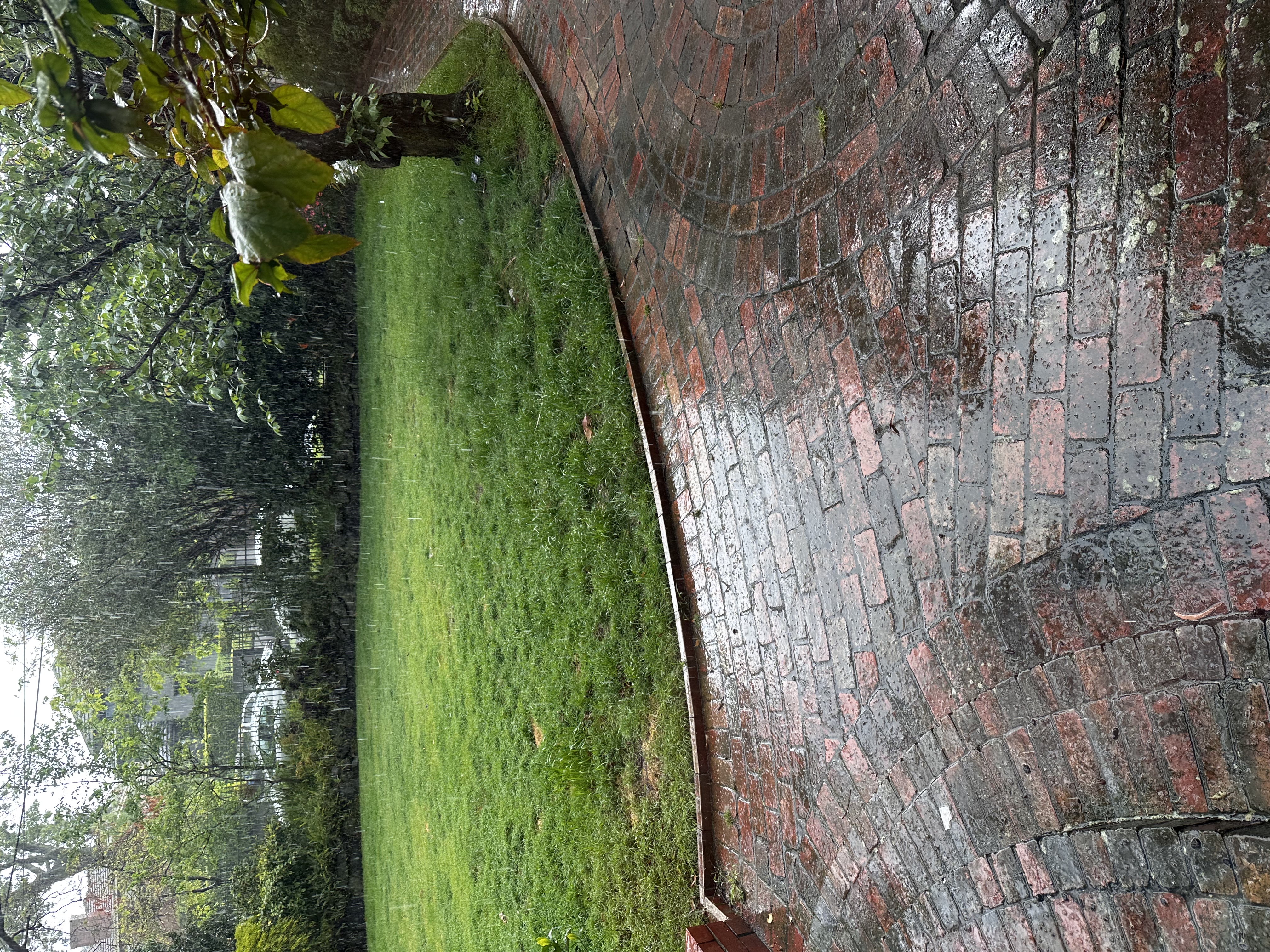 image-24