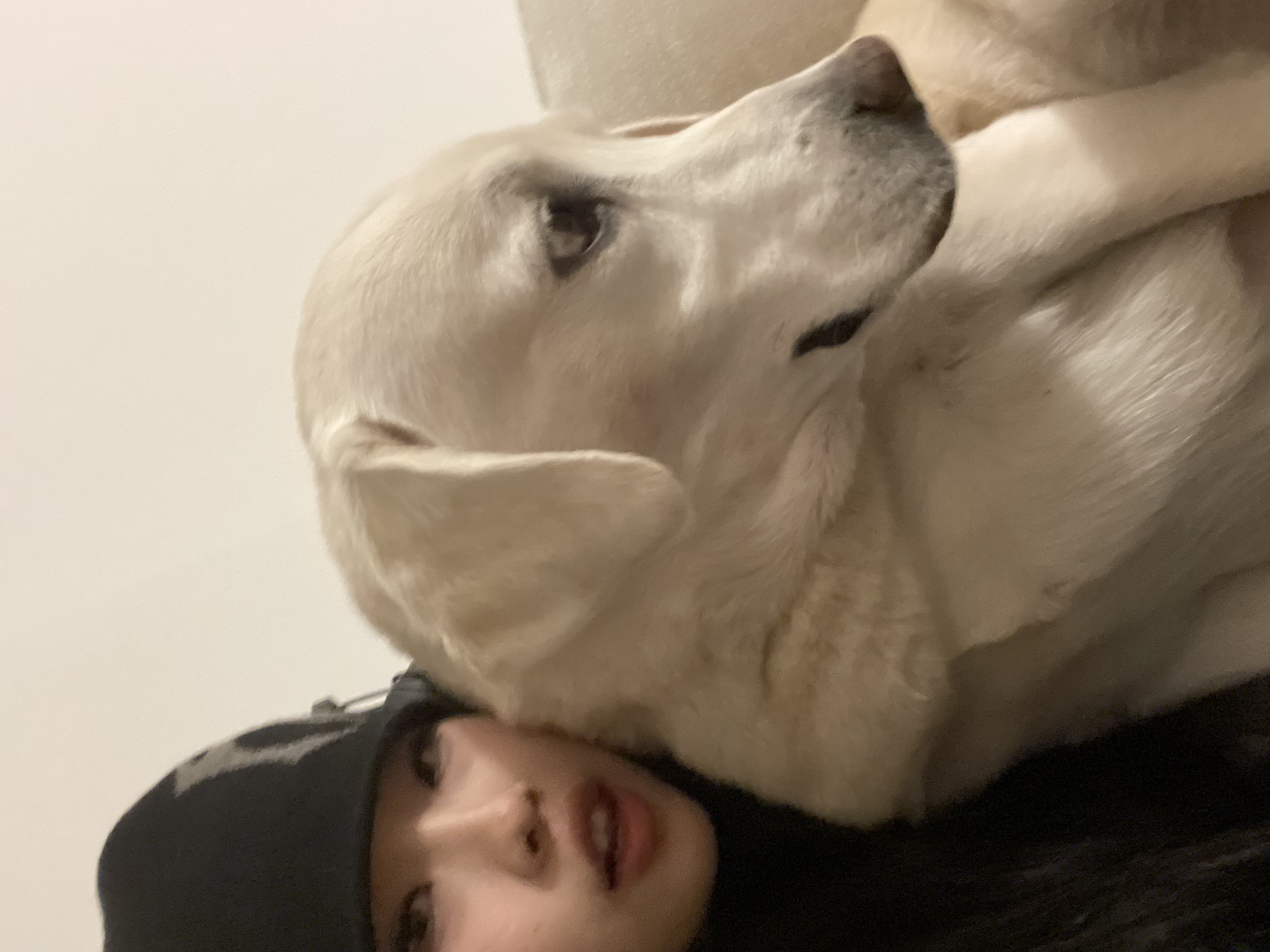 image-4