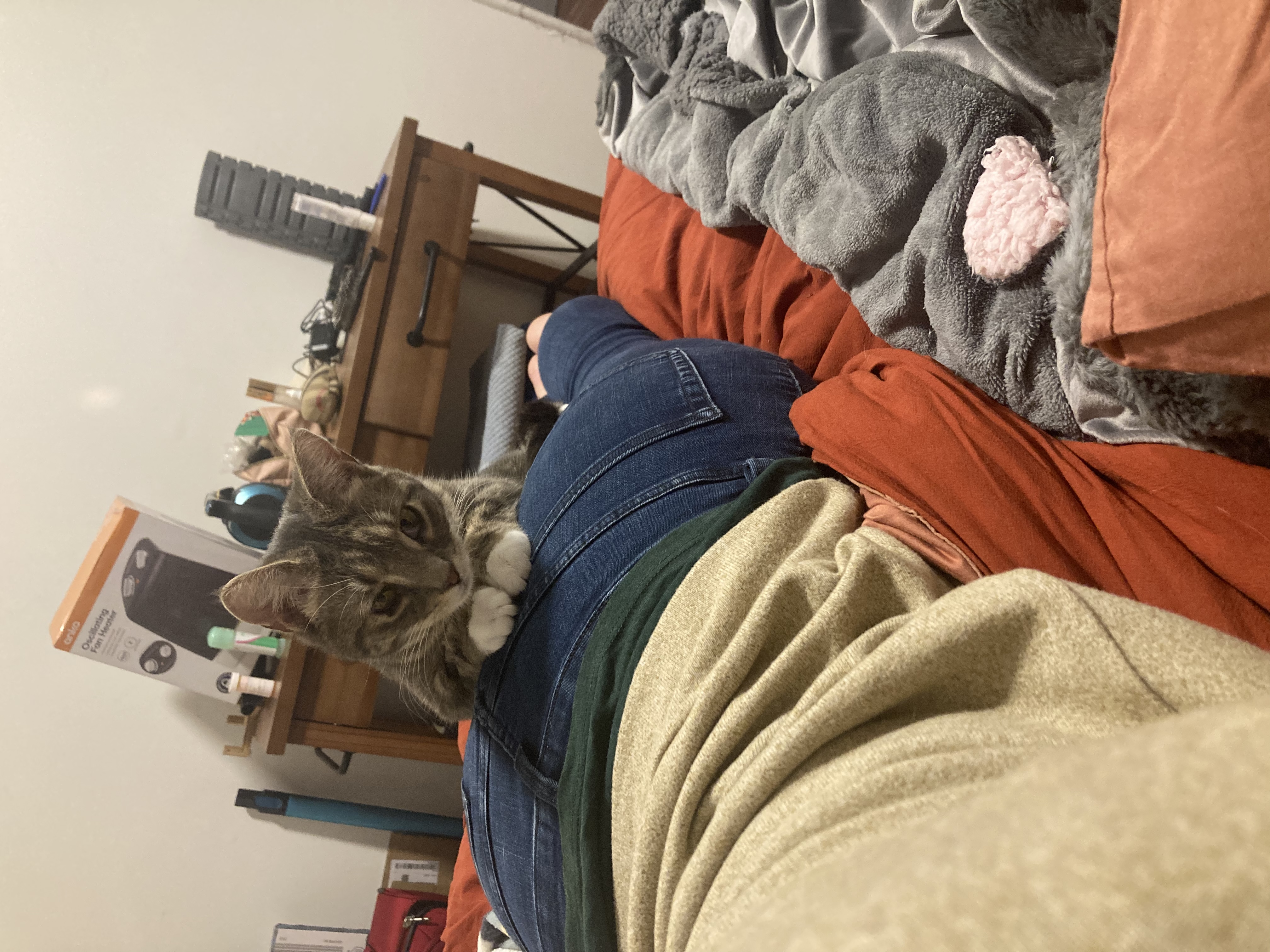 image-15
