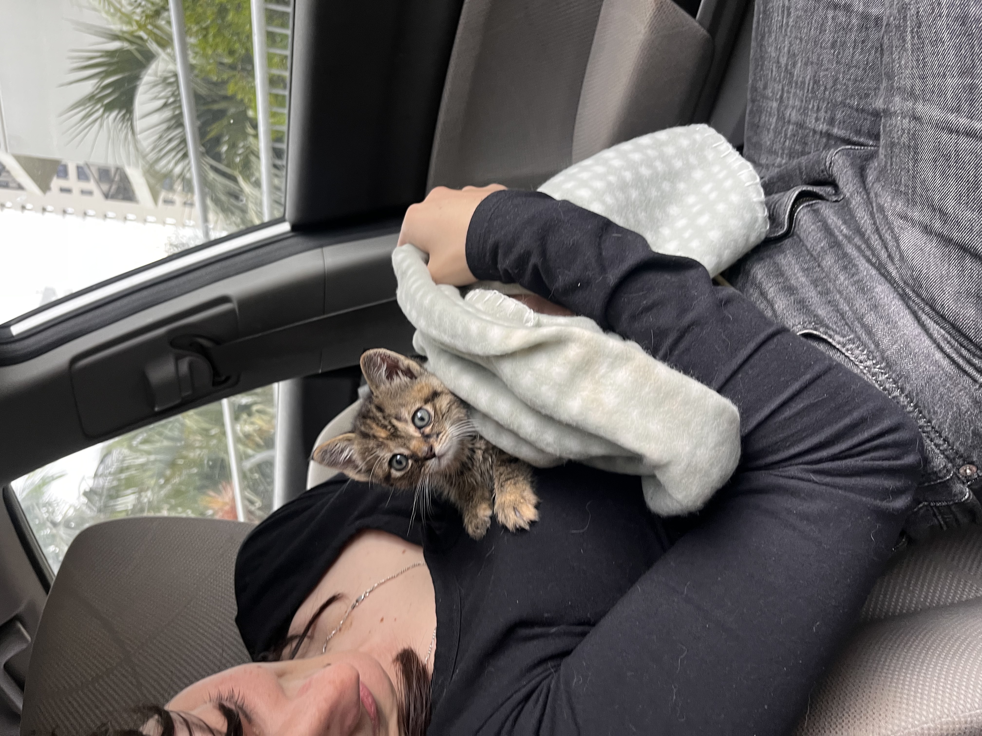 image-6
