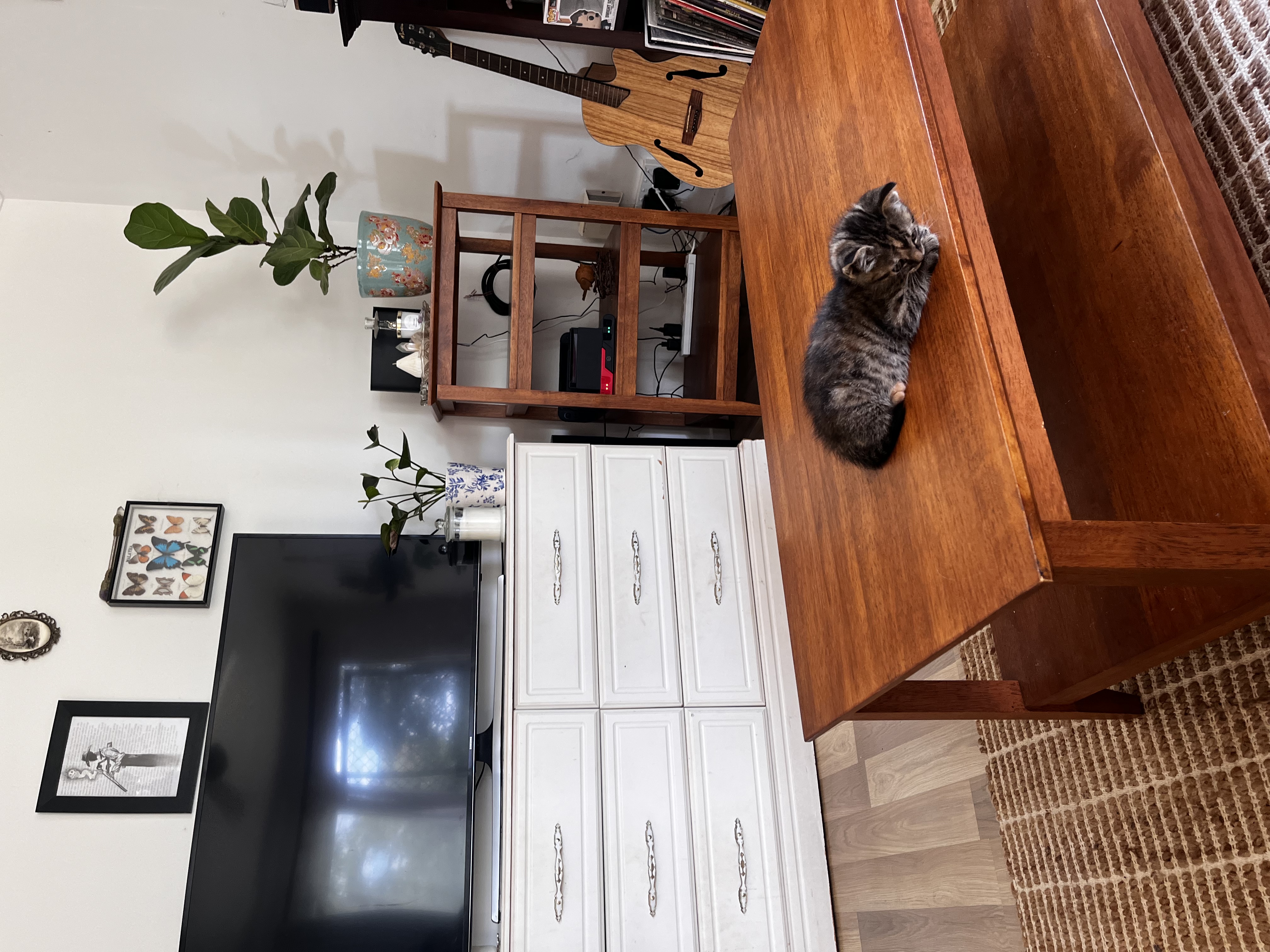 image-15