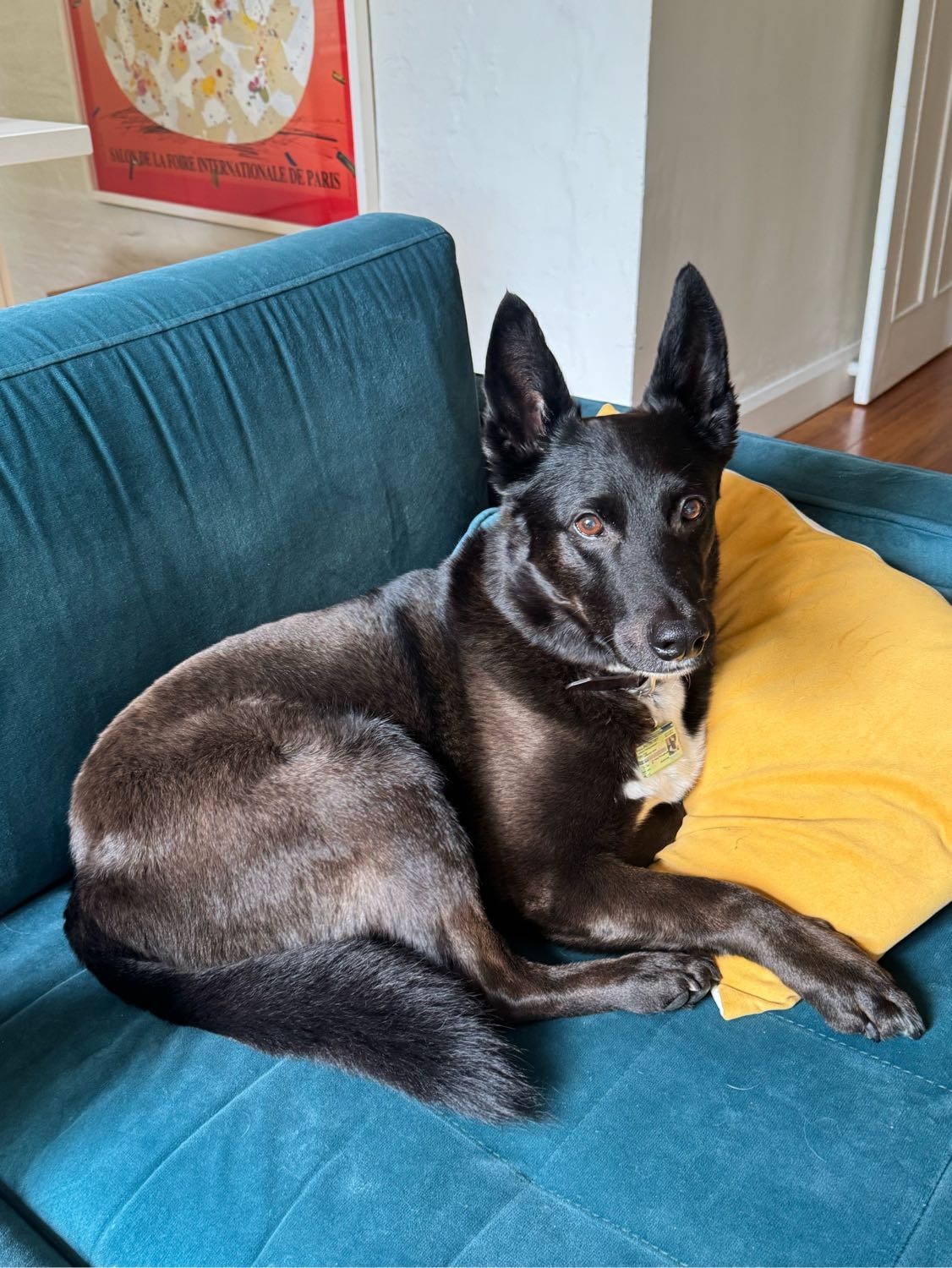 image-18