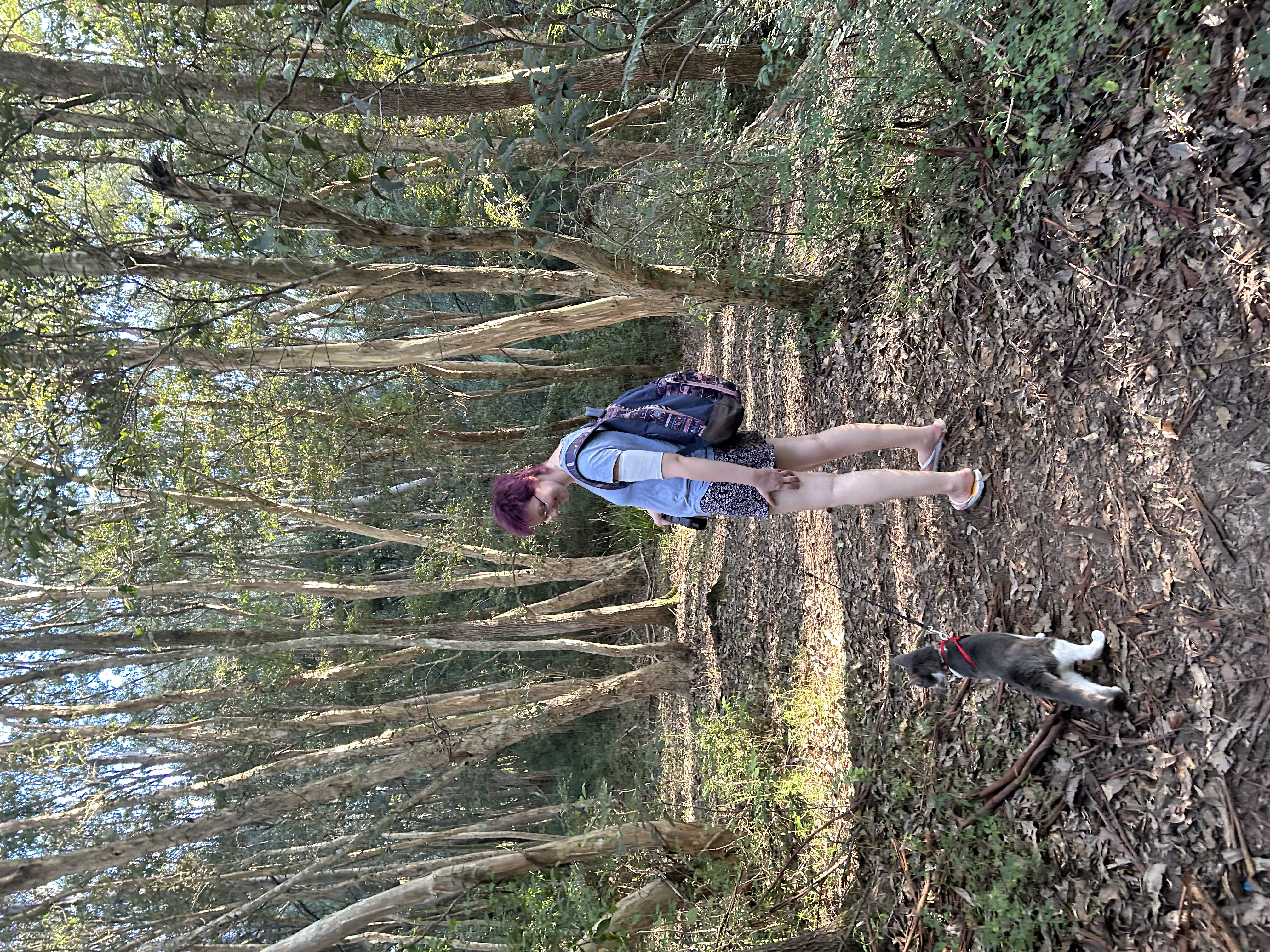 image-5