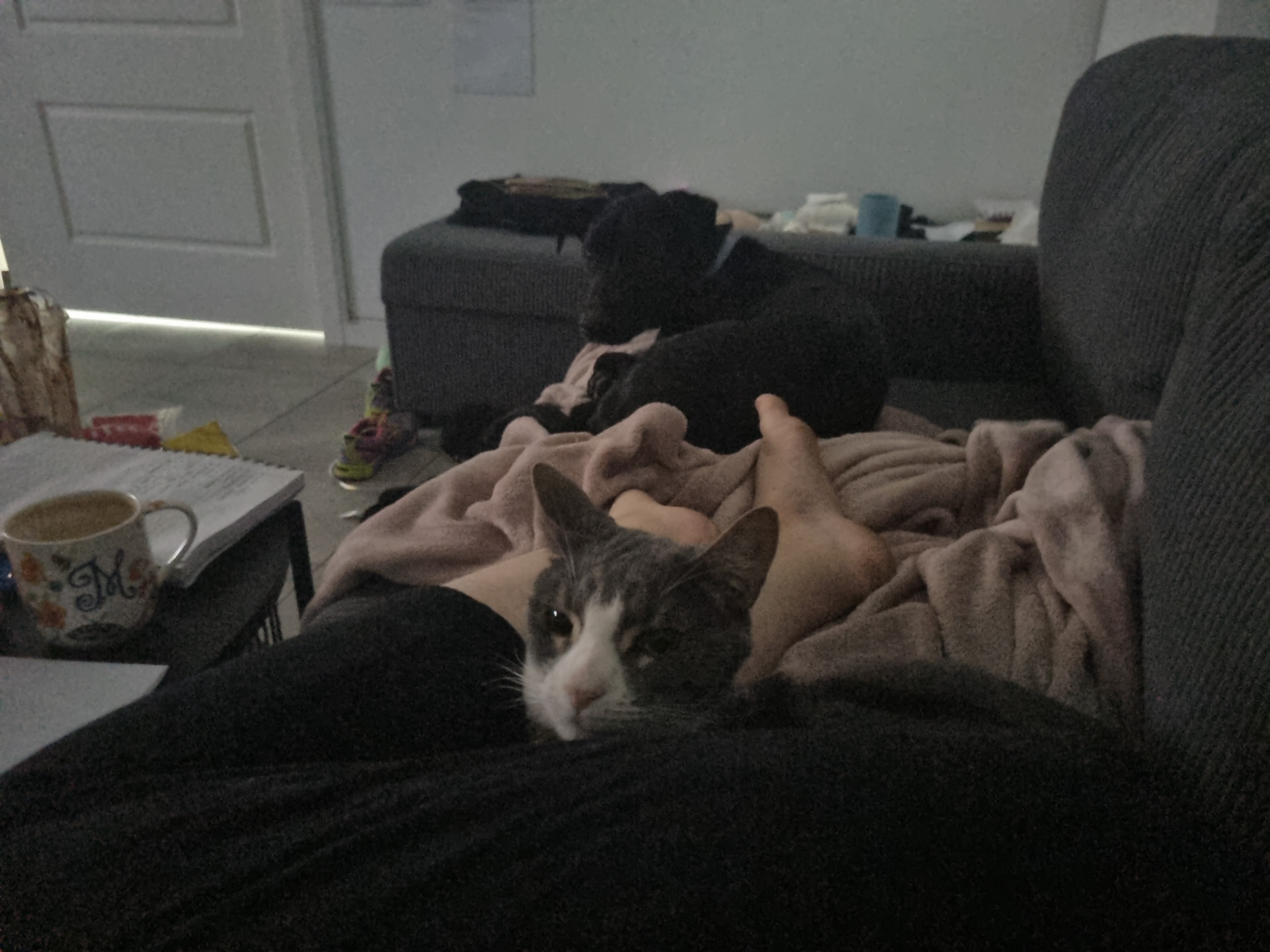 image-10