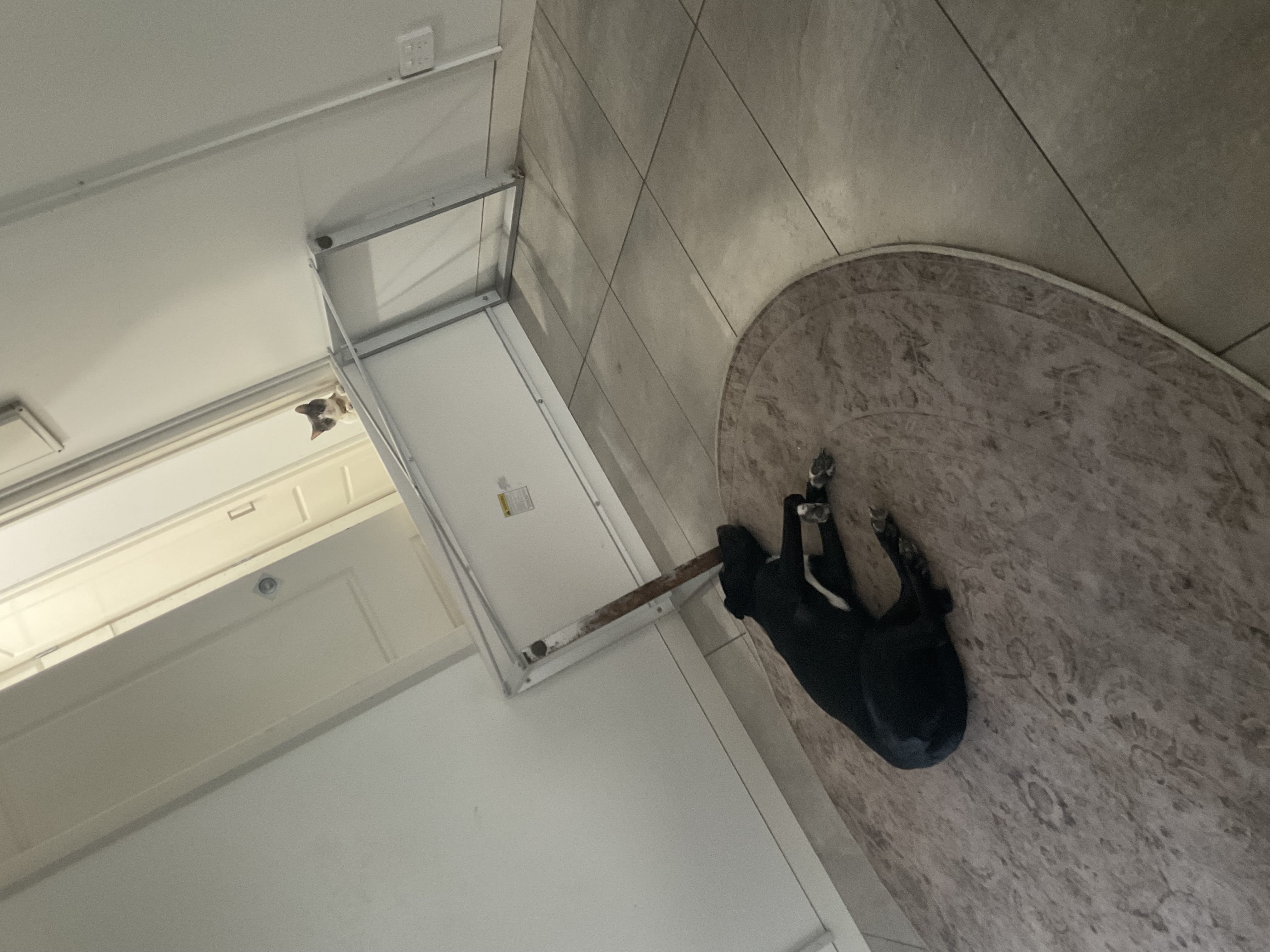 image-8