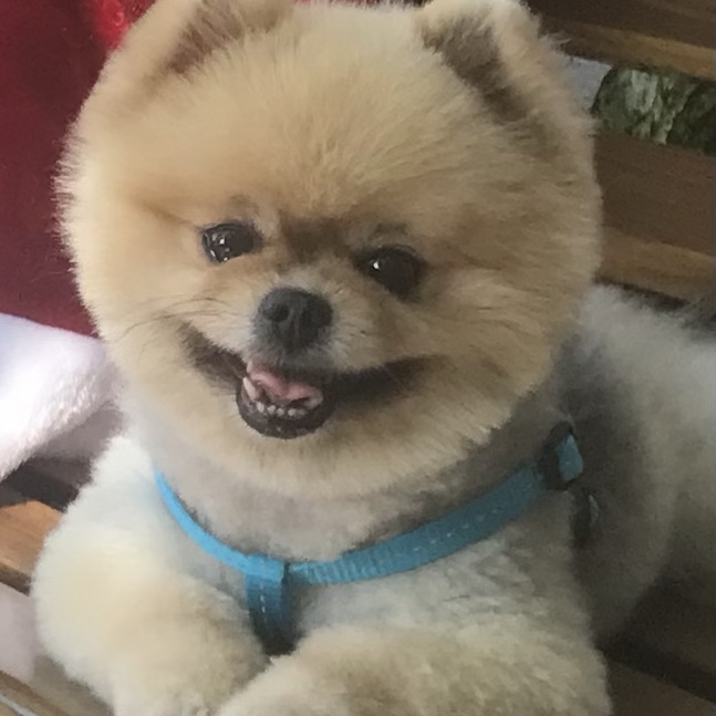Nana