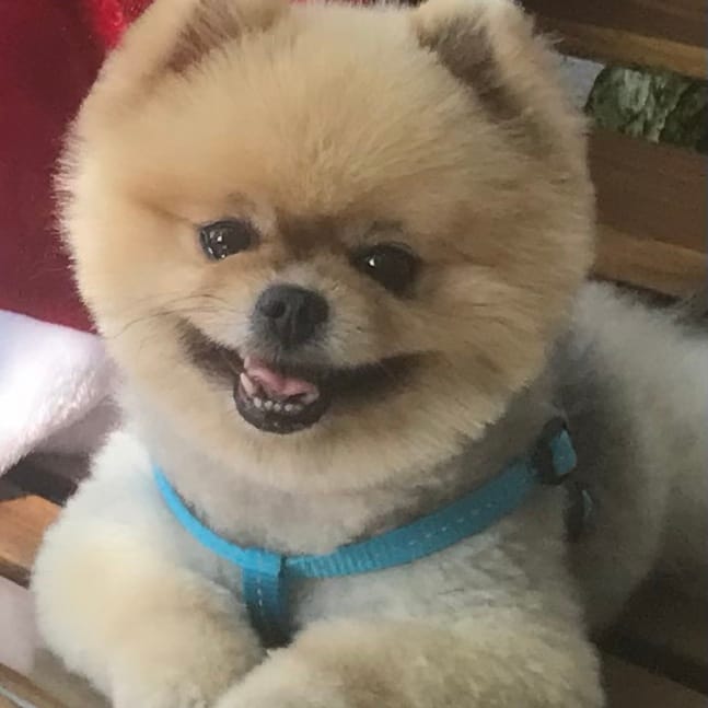 Nana