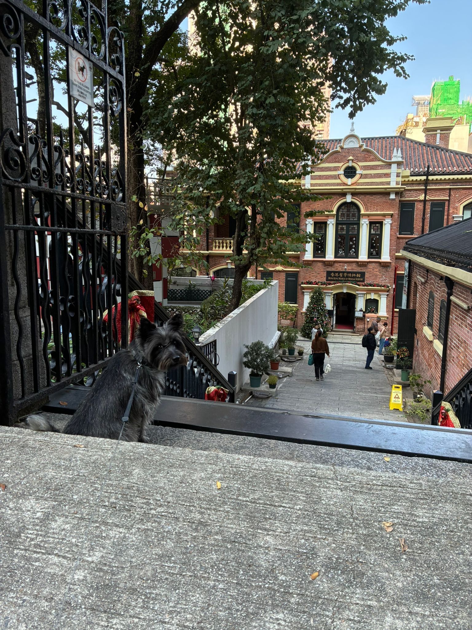 image-25