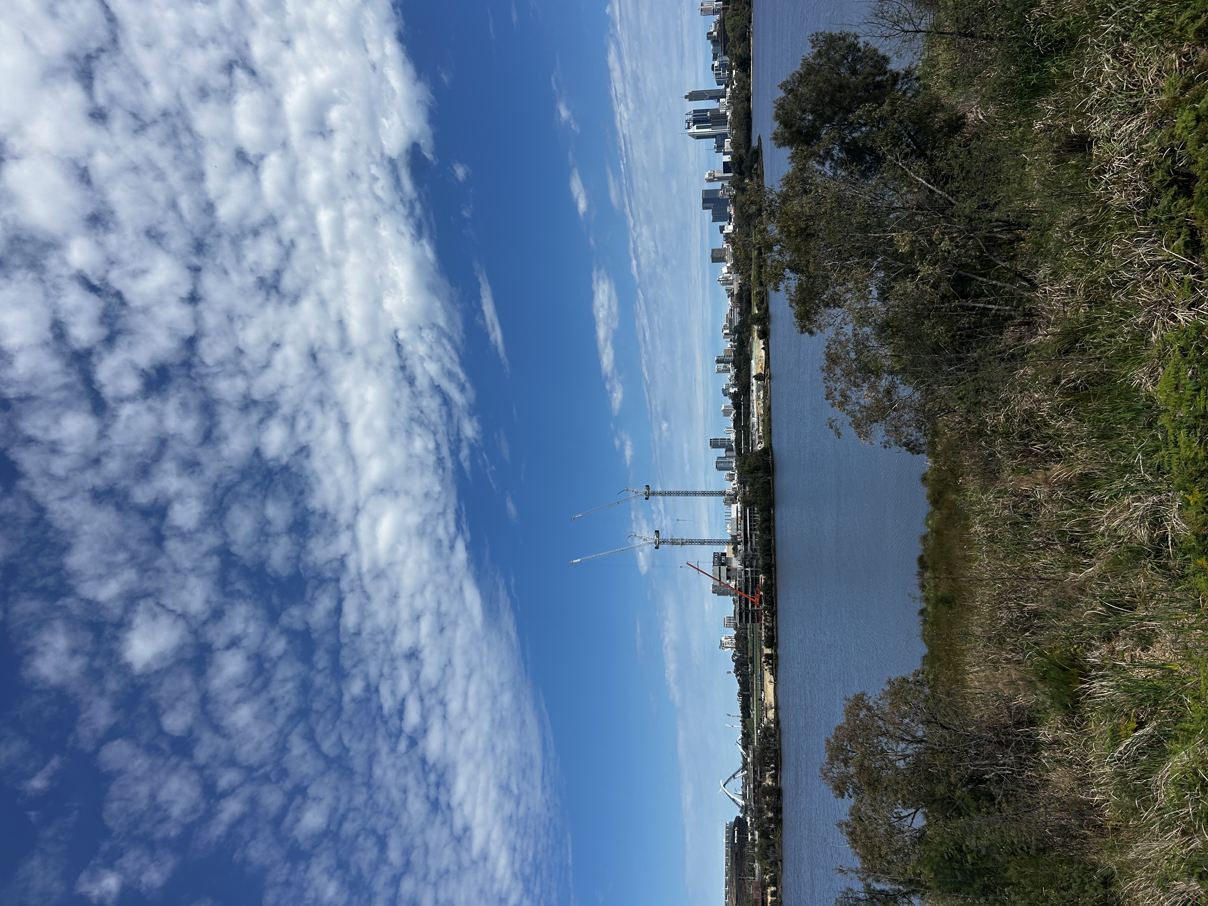 image-14
