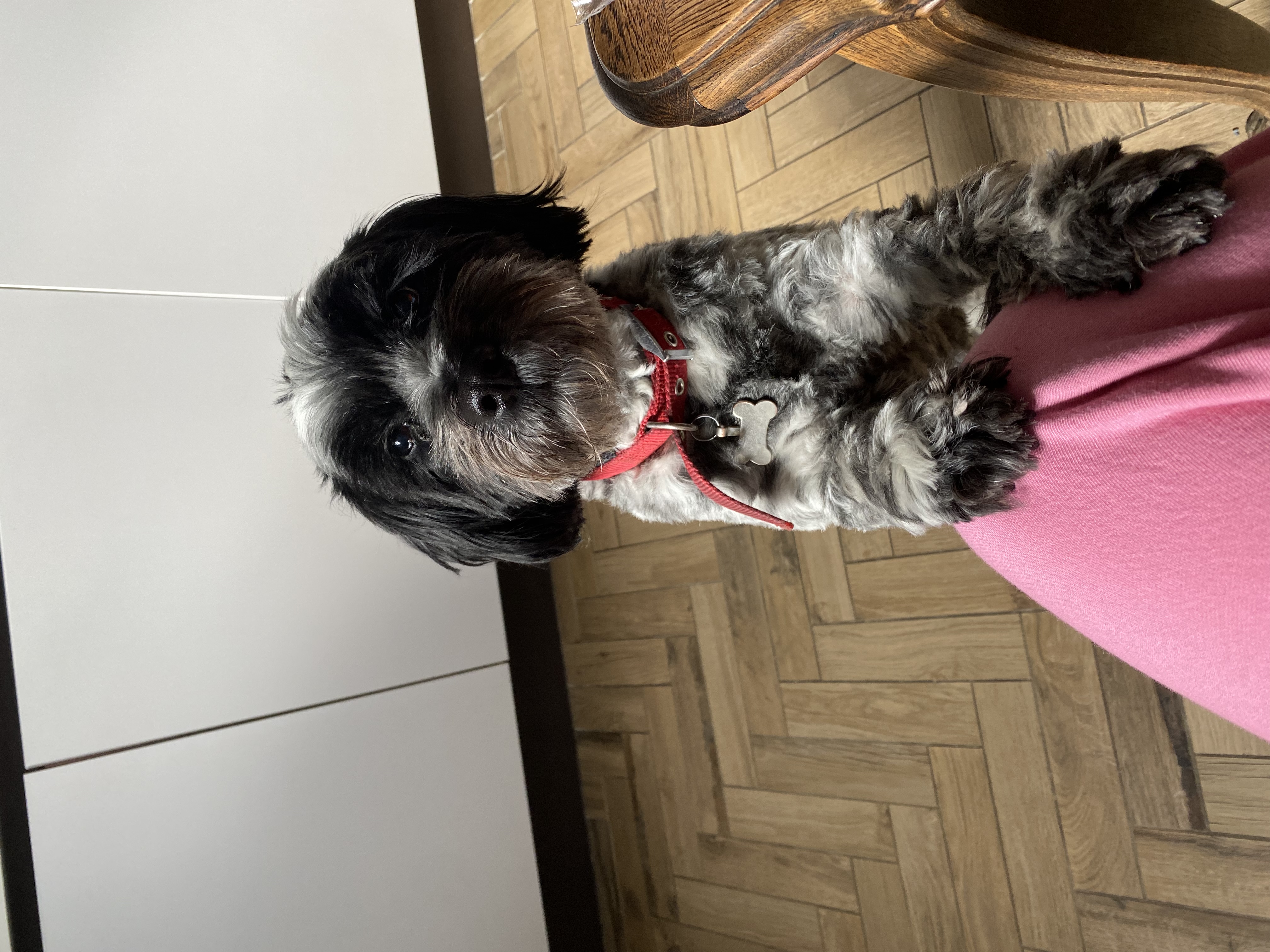 image-9