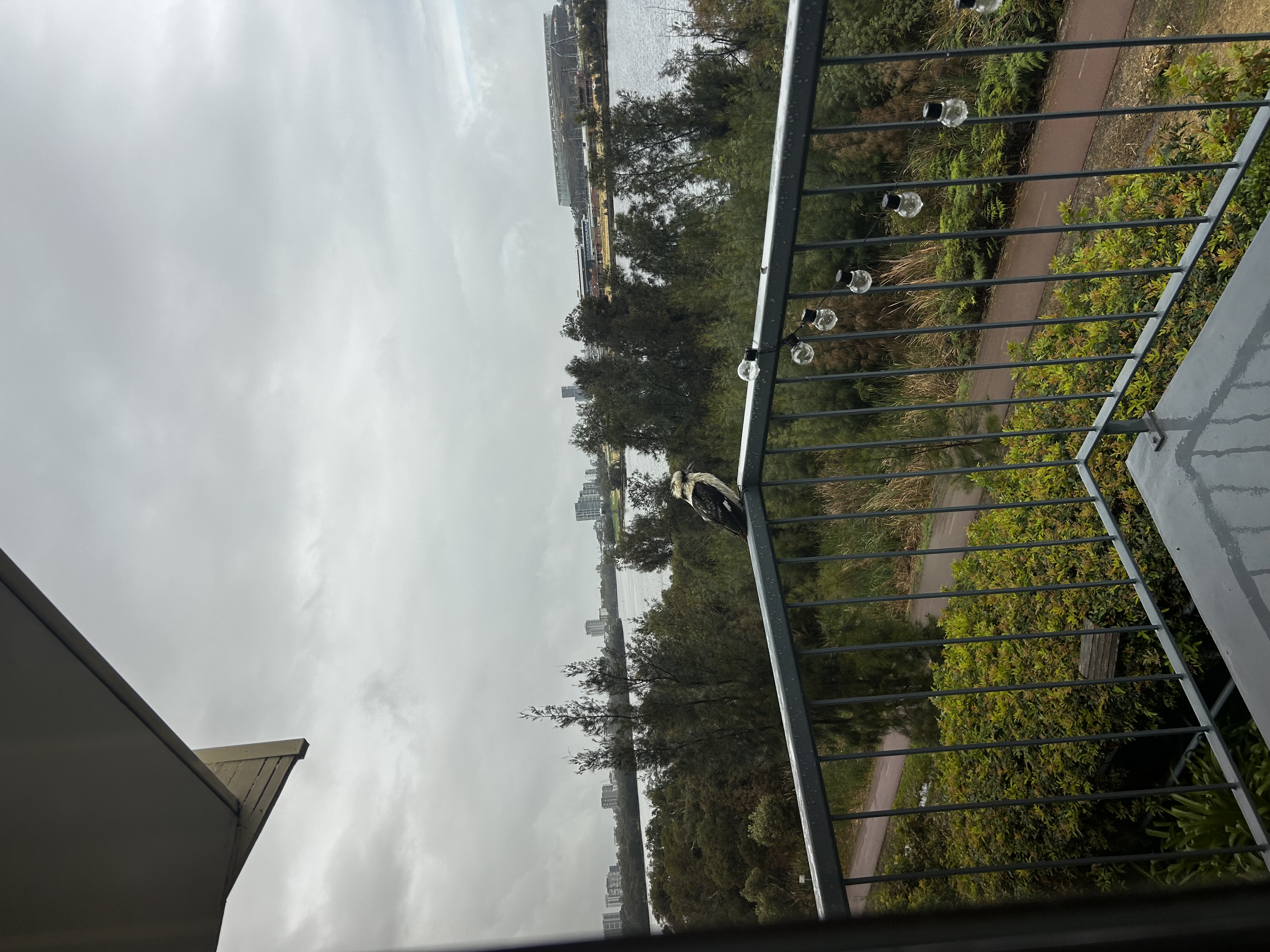 image-17
