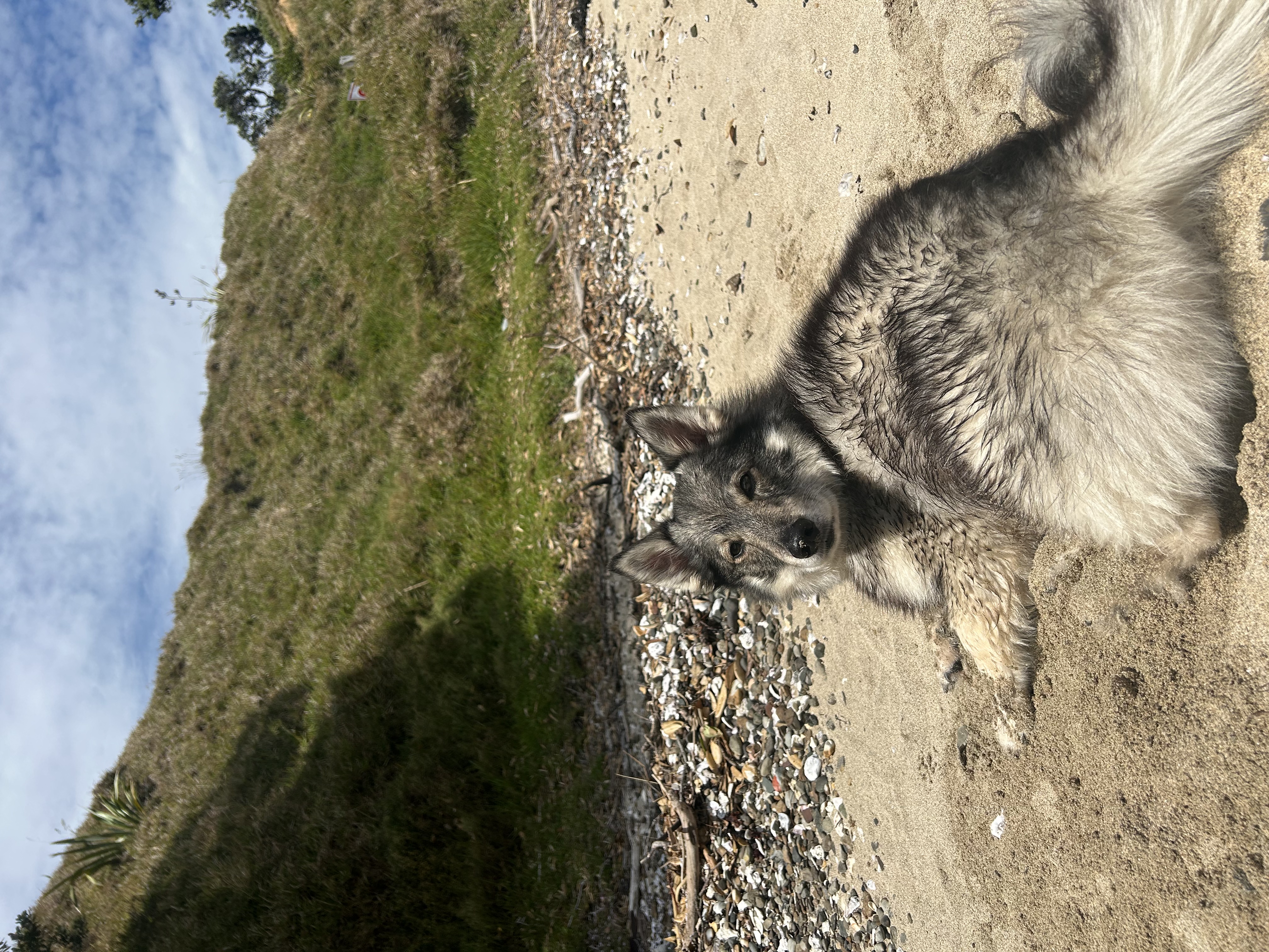 image-9