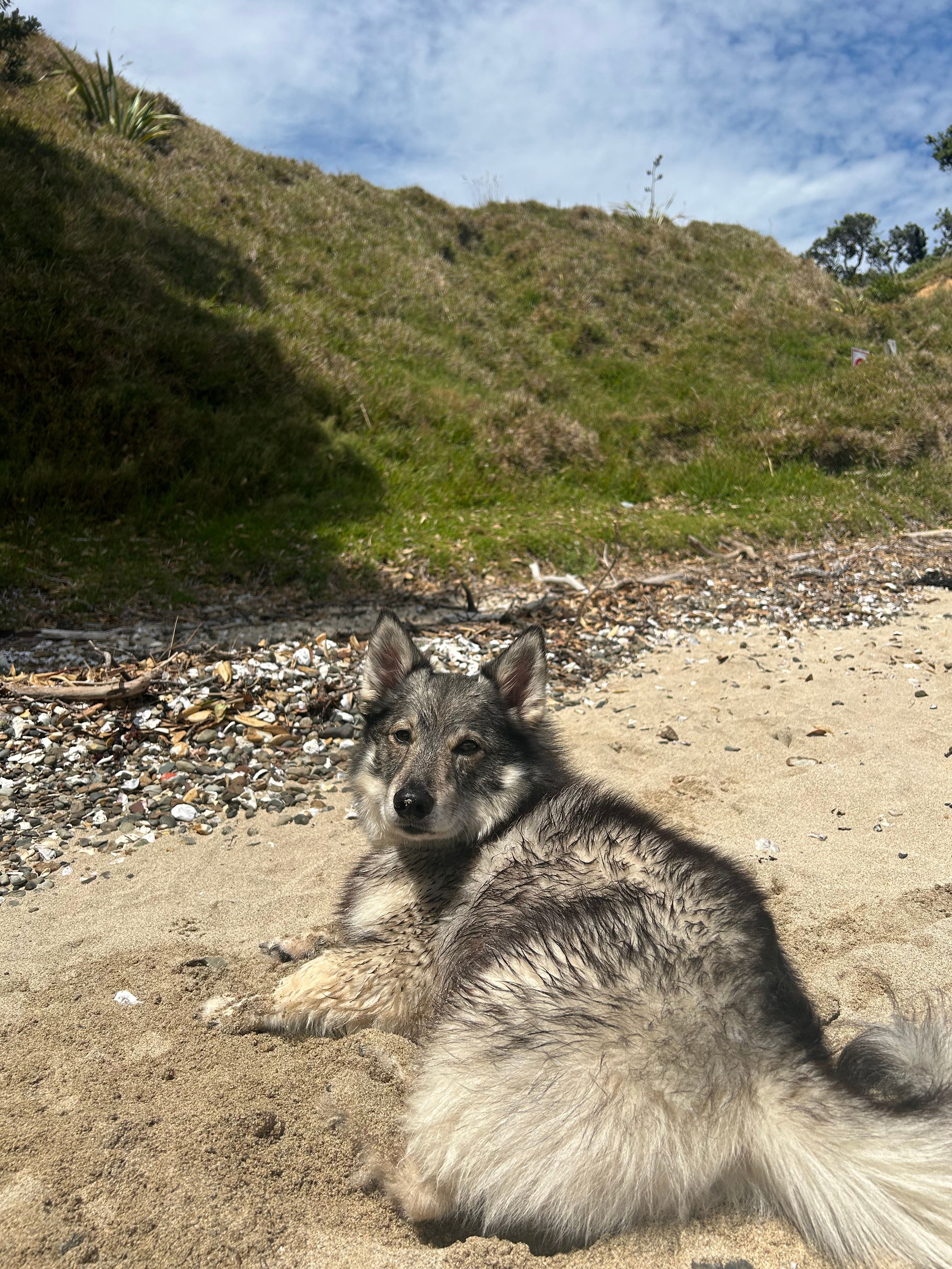 image-9
