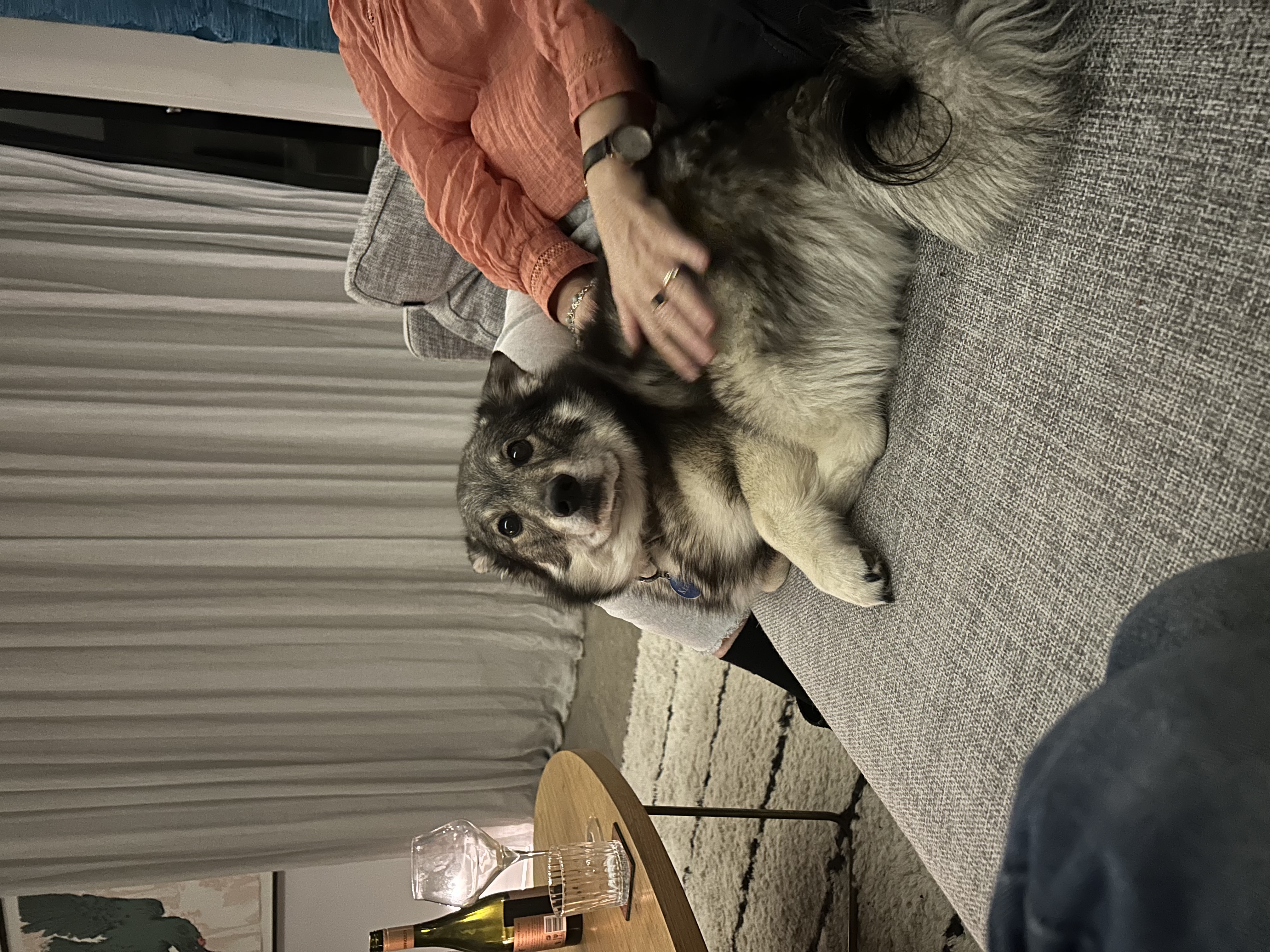 image-8